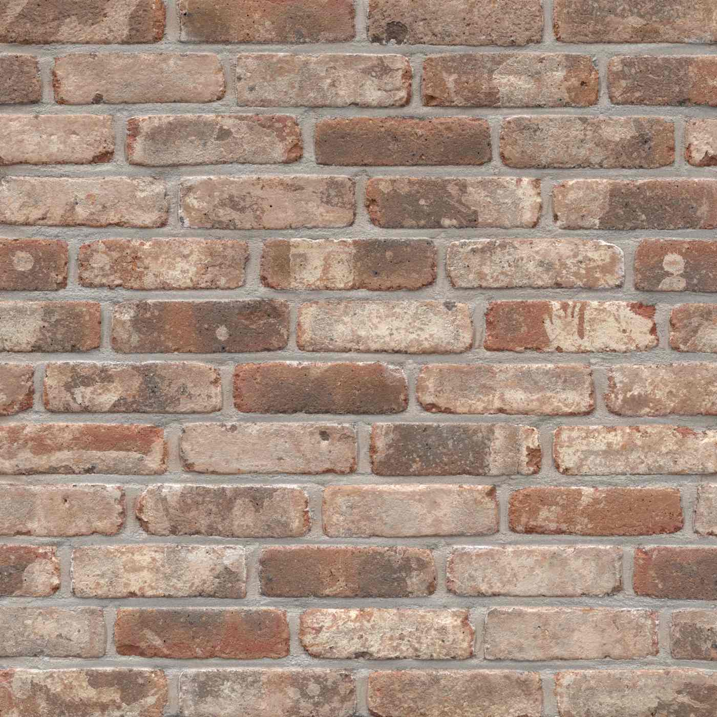 Terca Belle Epoque de Liège