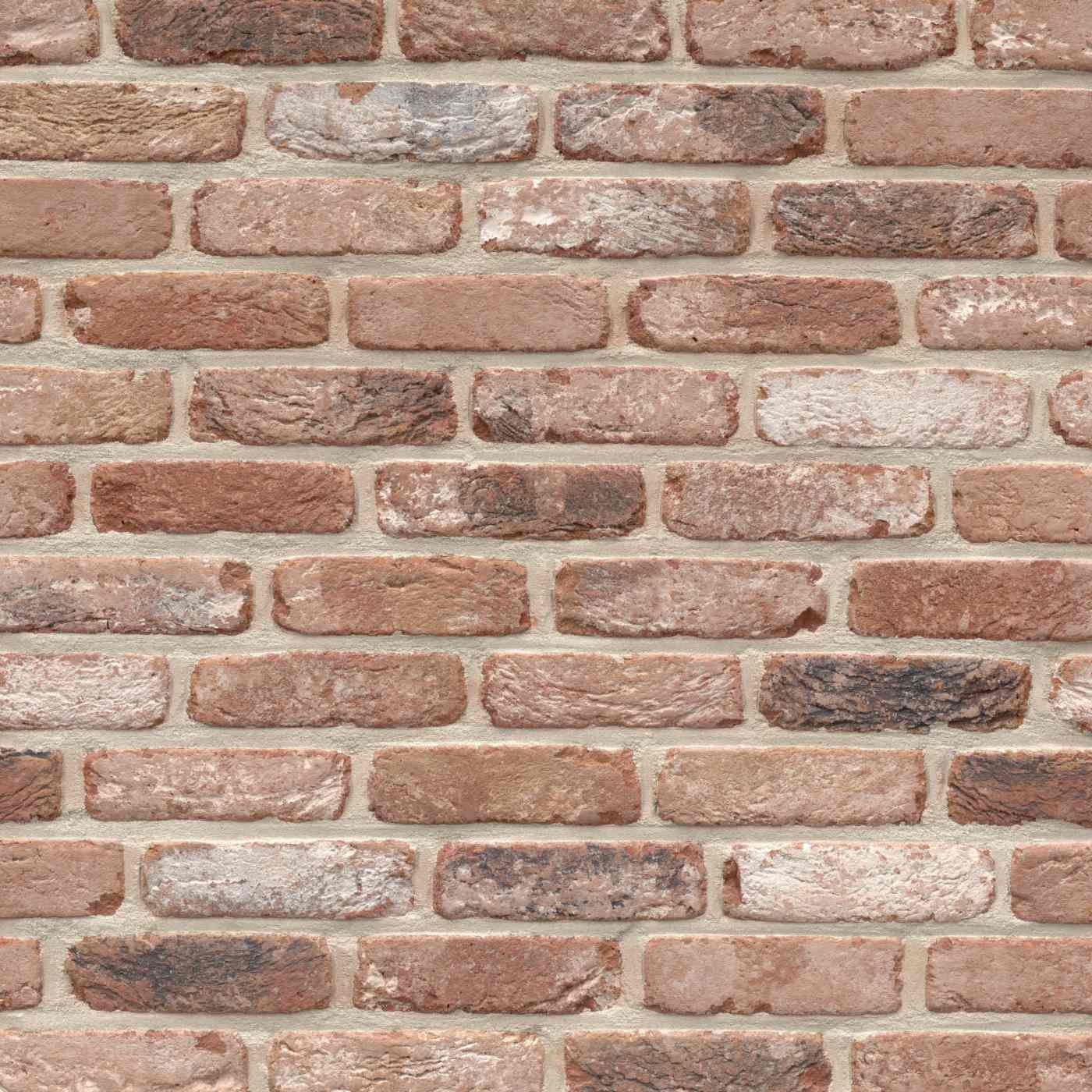 Terca Belle Epoque de Namur