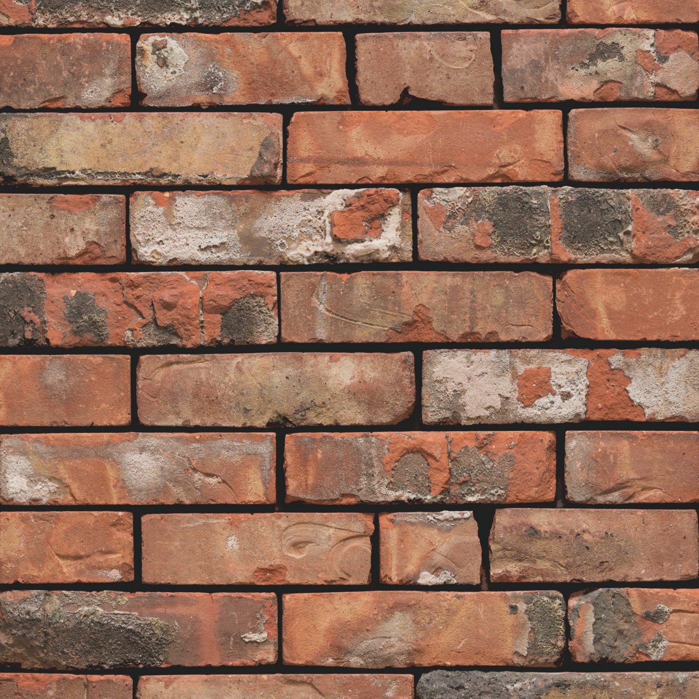 Packshot of a panel with Artiza Colorada  facing bricks