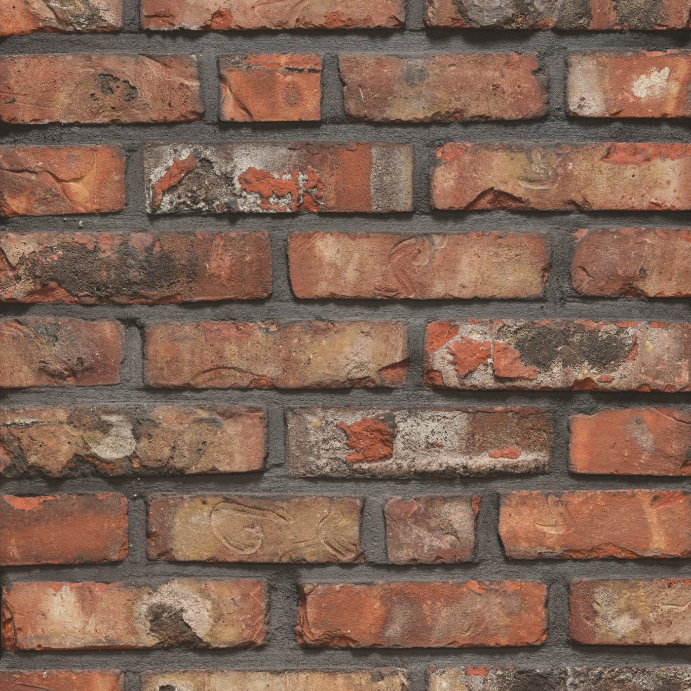 Packshot of a panel with Artiza Colorada facing bricks