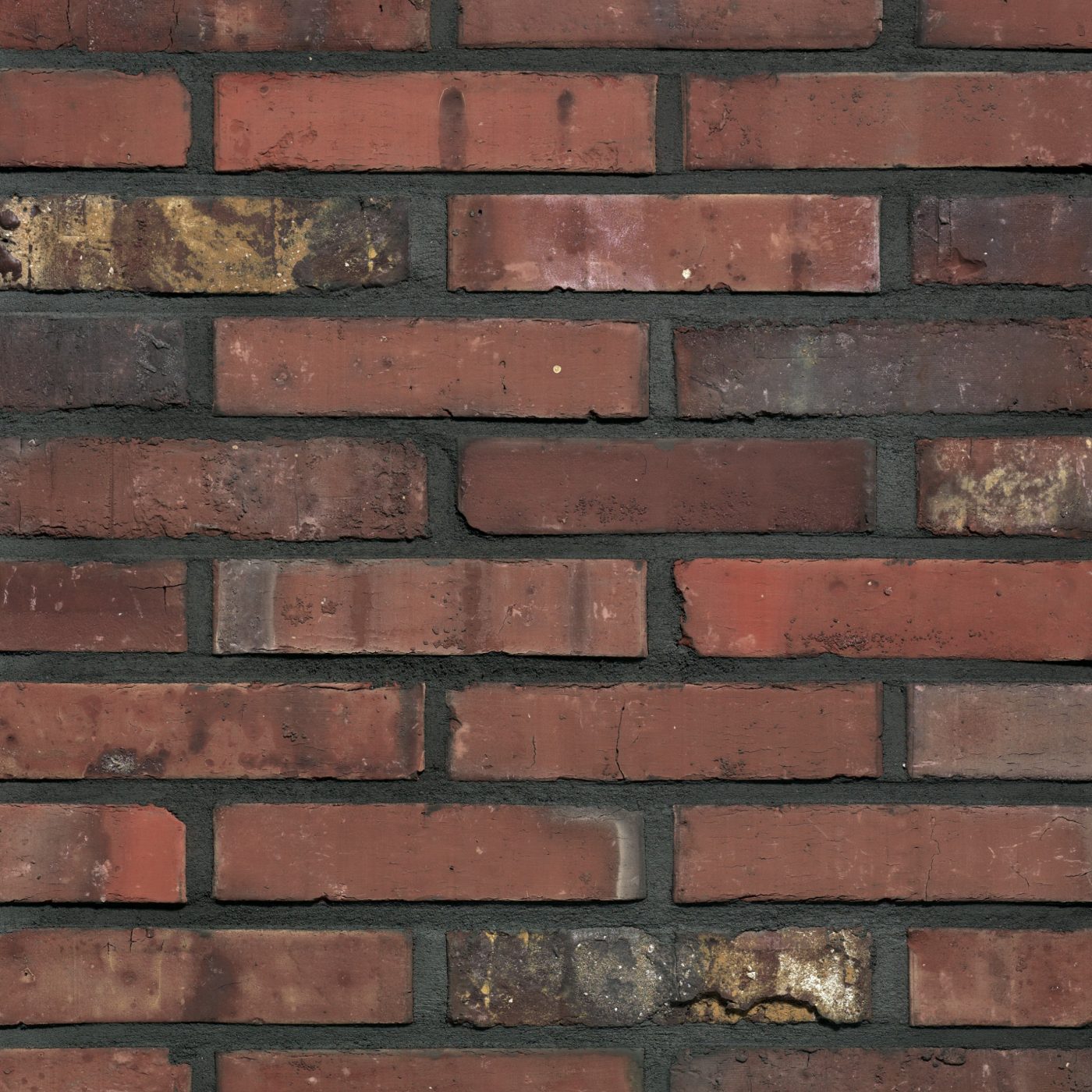 Packshot of a panel with Artiza Hectic facing bricks