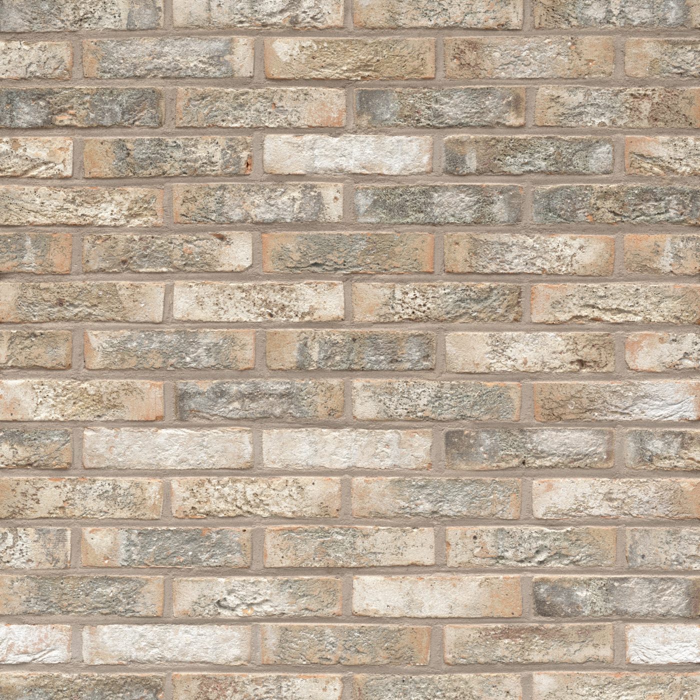 Packshot of a panel with Classo Brons Rustiek