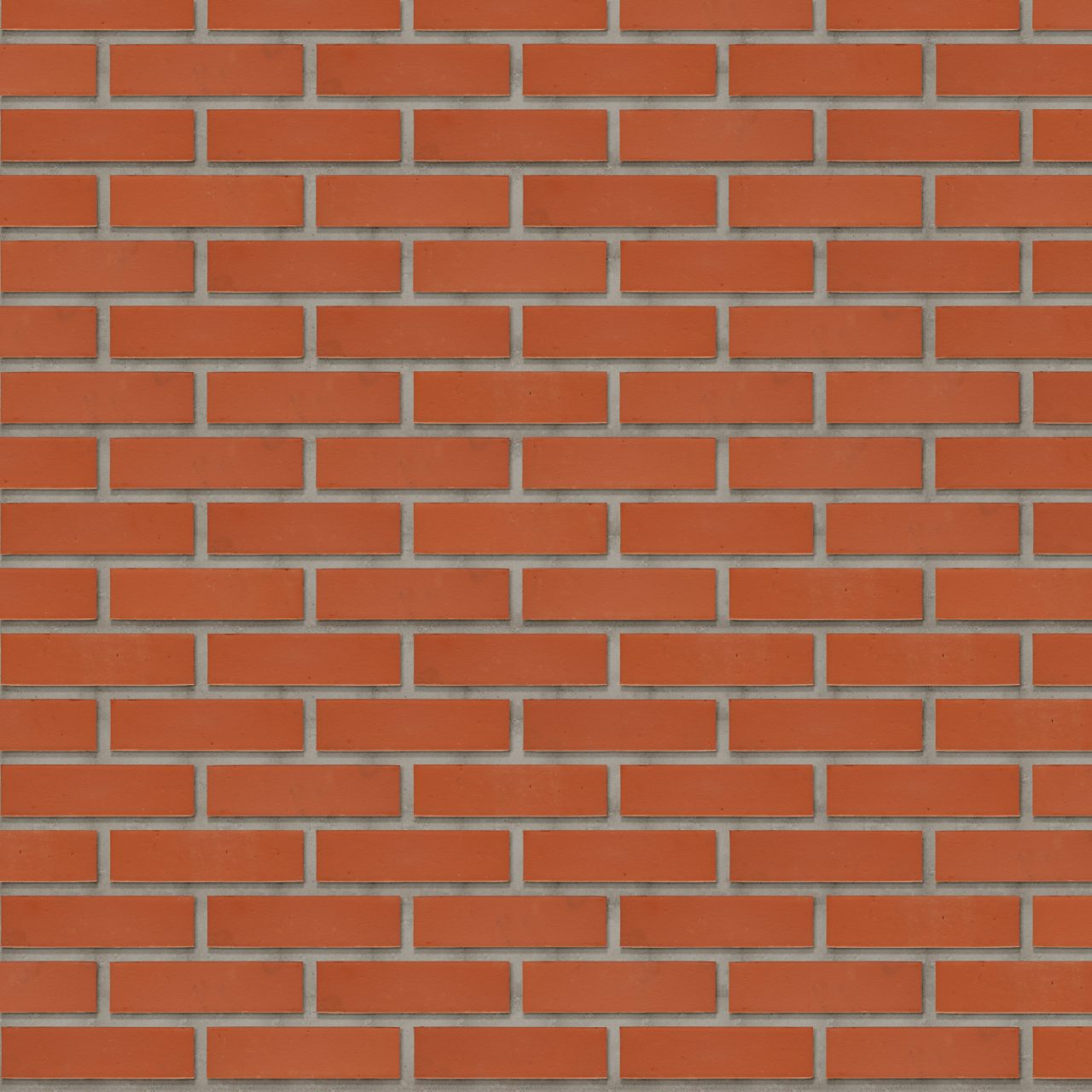 Colorline Rouge Lisse de Campine