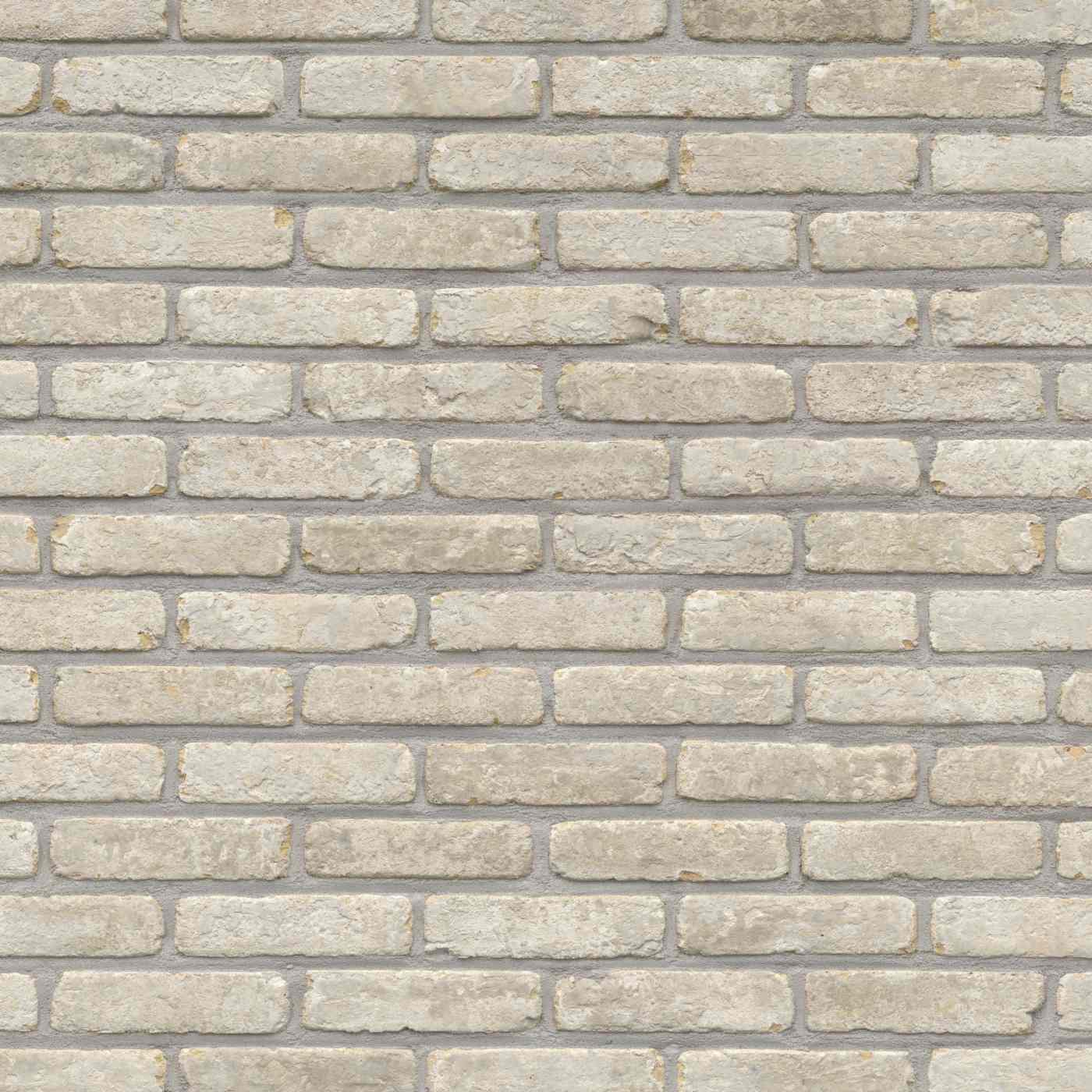 Packshot of a panel with Domus Casa Lena