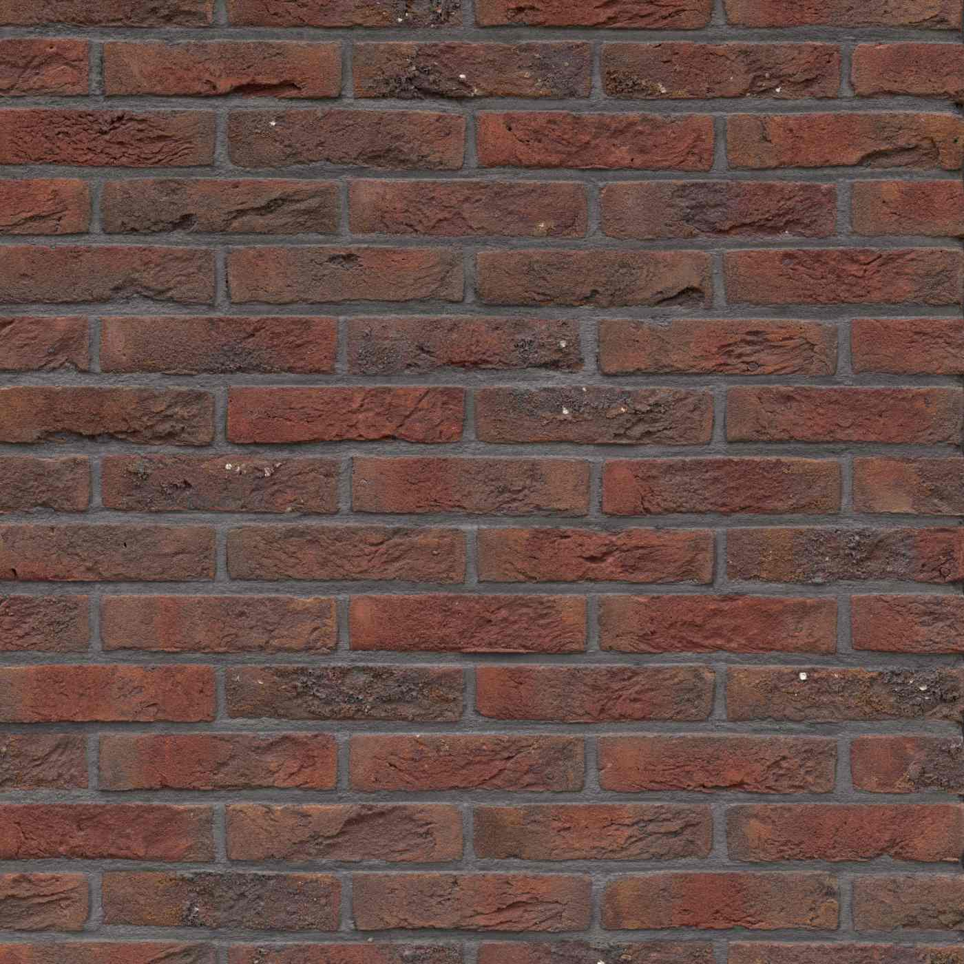 Exported from Metis Light Inspector