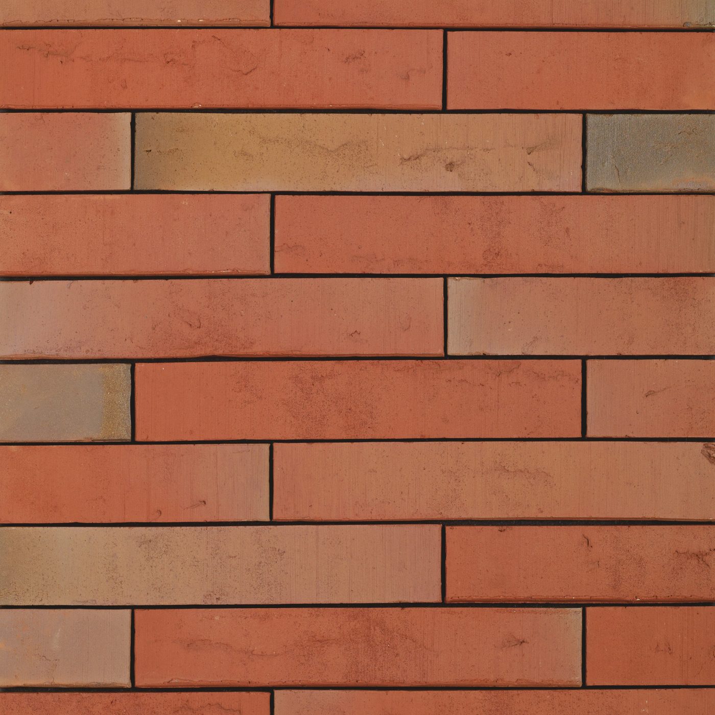 Packshot of a panel with Linnaeus Robinia