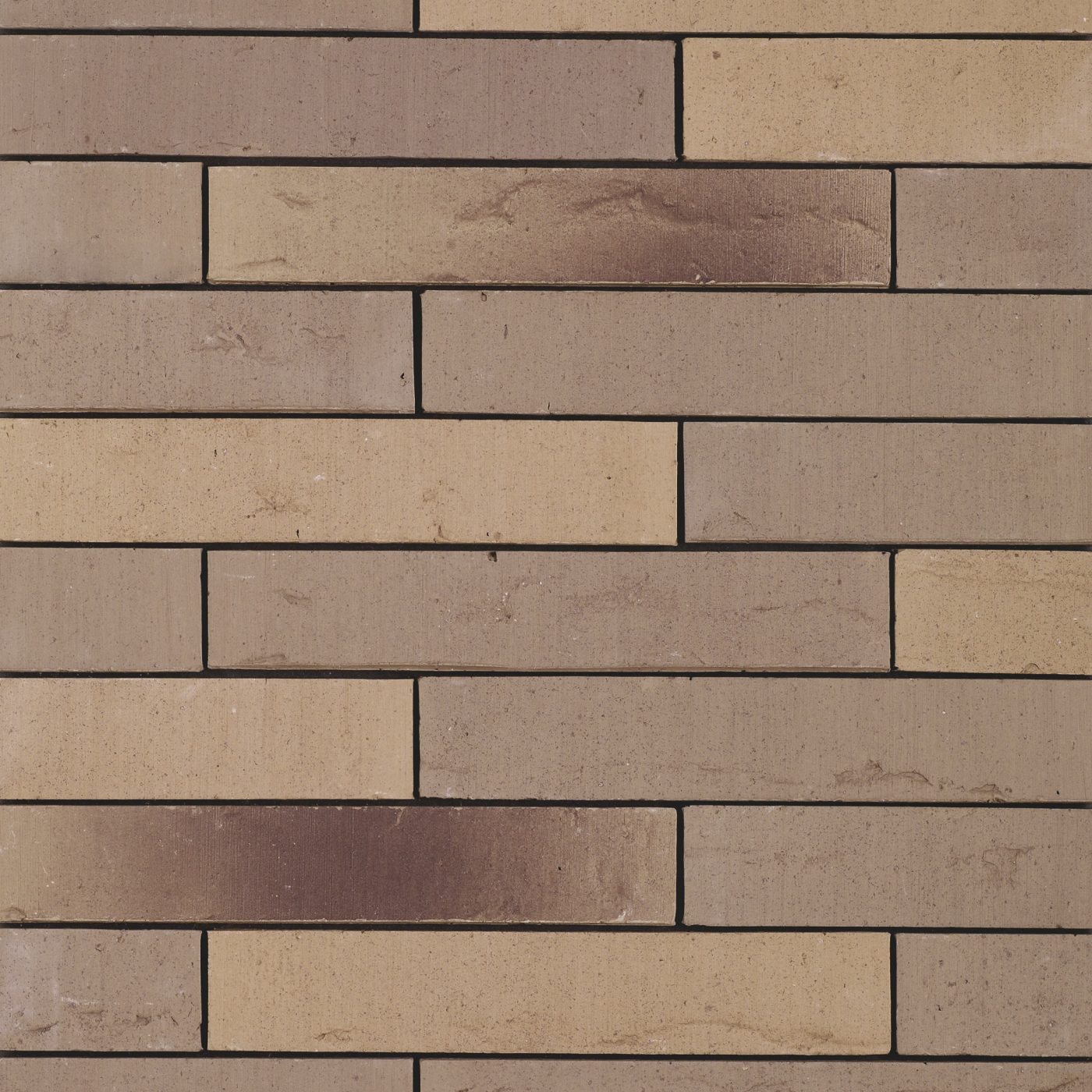 Packshot of a panel with Linnaeus Salix
