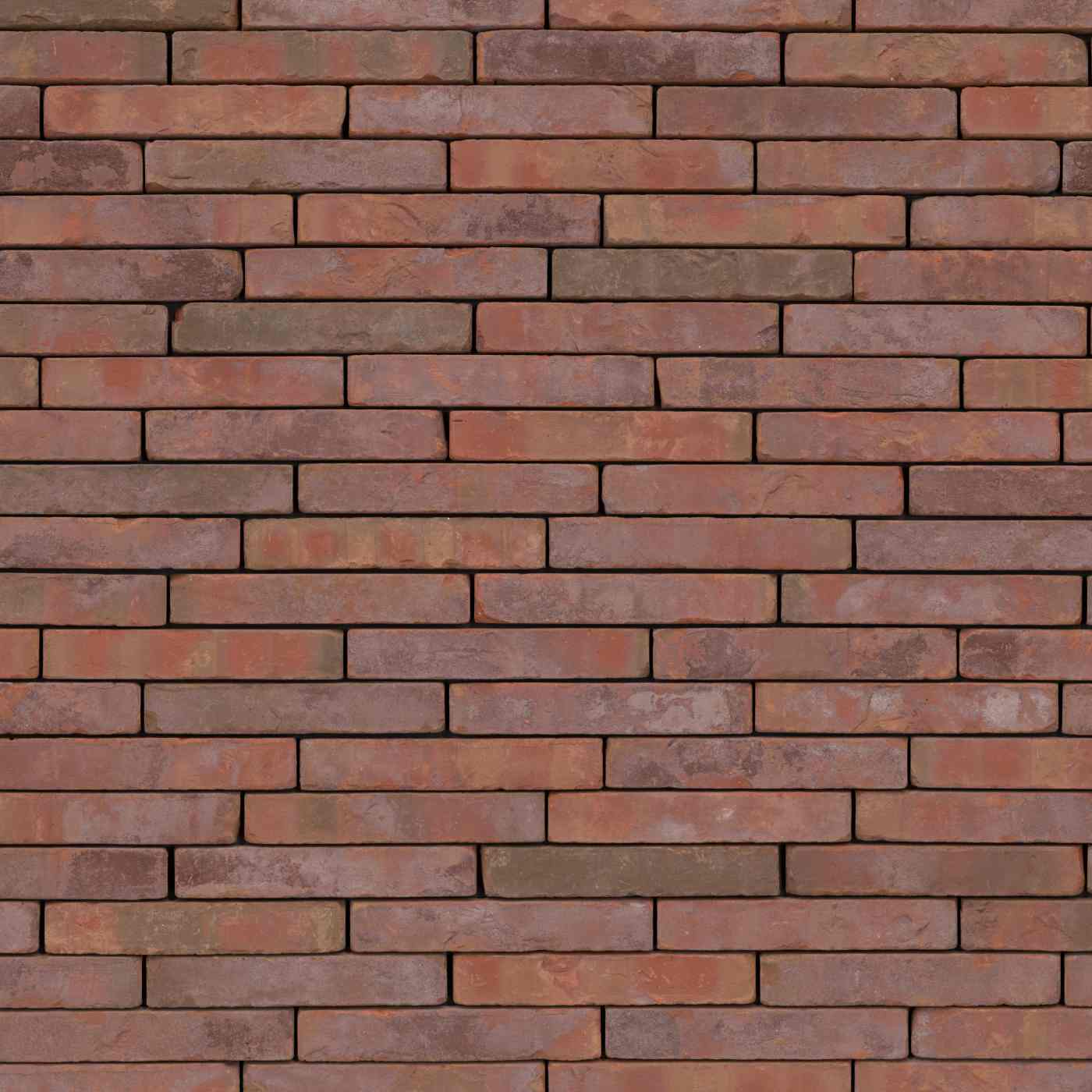 Terca Metropolis Rouge Aula