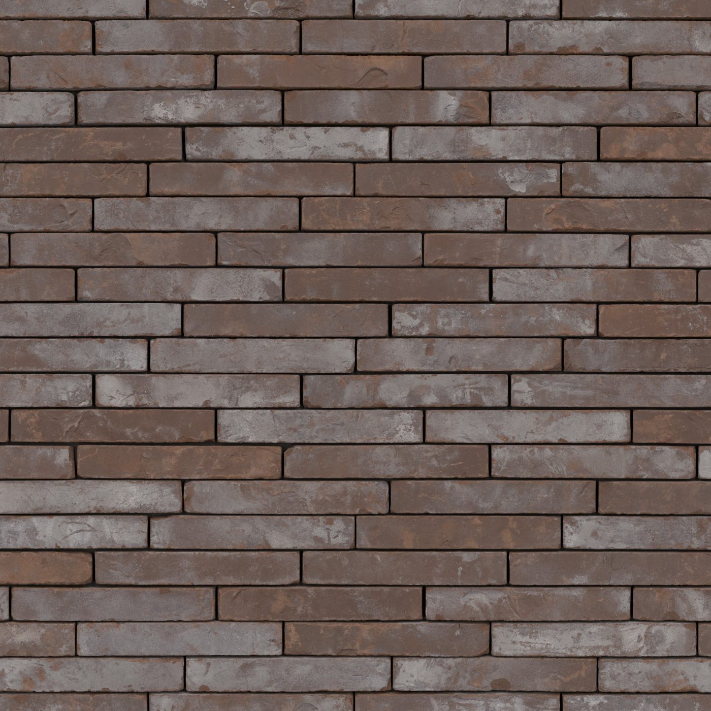 Terca Metropolis Brun Urbis