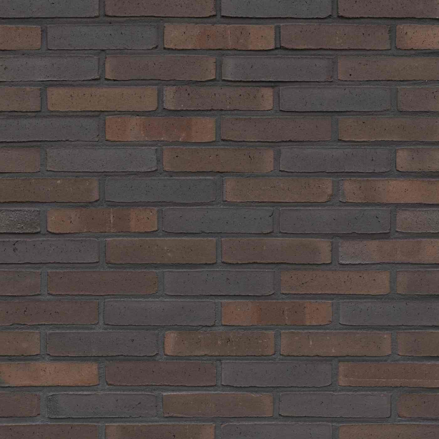 Packshot of a panel with Milosa Kogelbloem