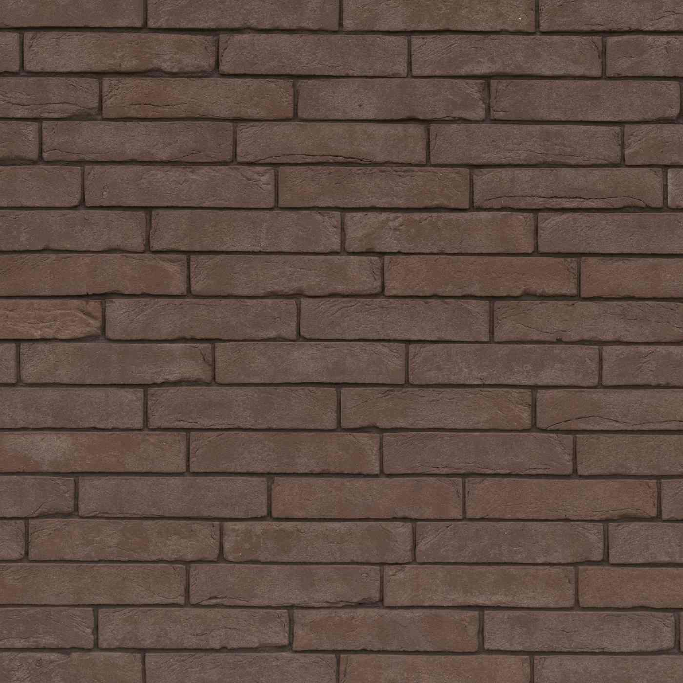 Terca Pagus Brun Iluzo