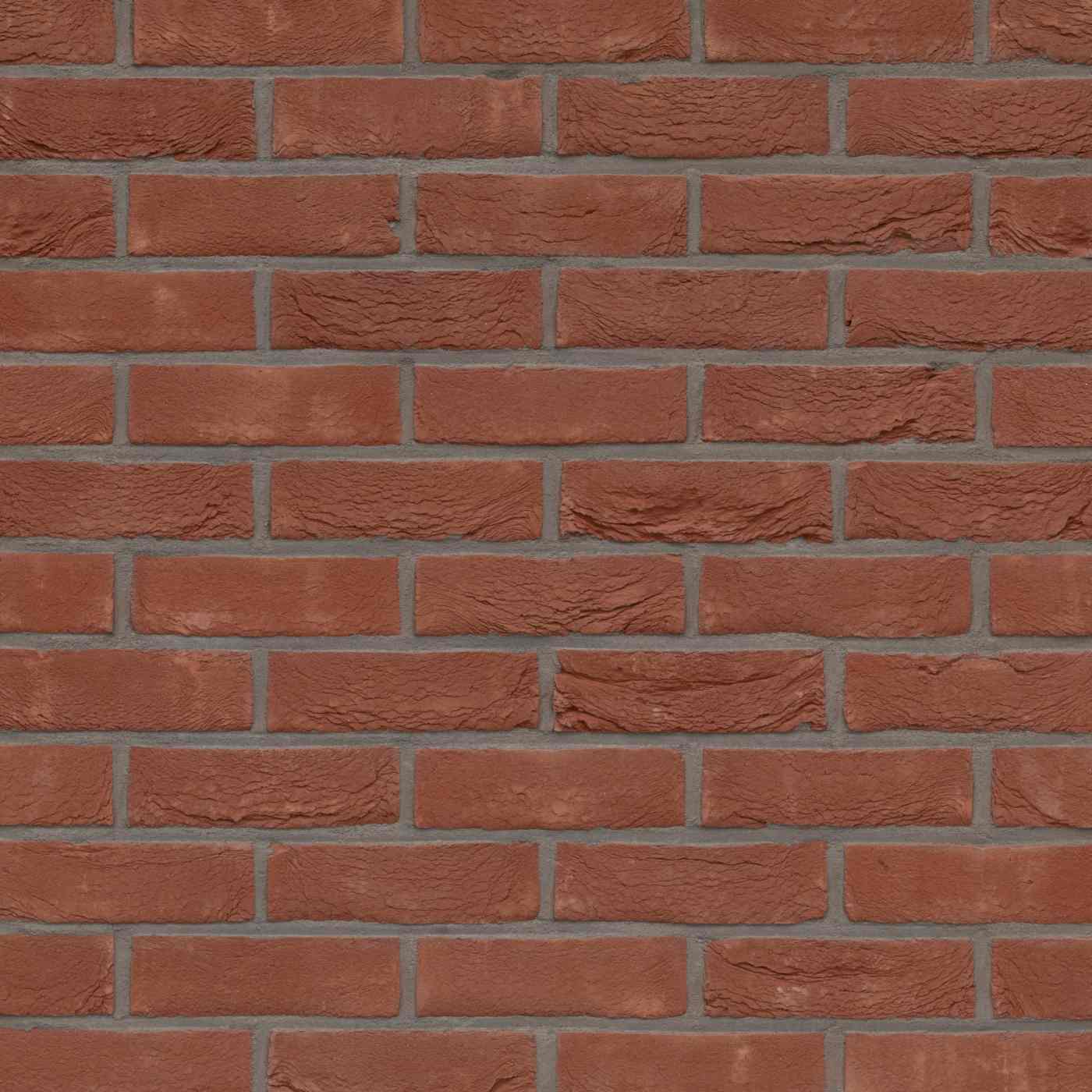 Terca Pagus Rouge Foncé