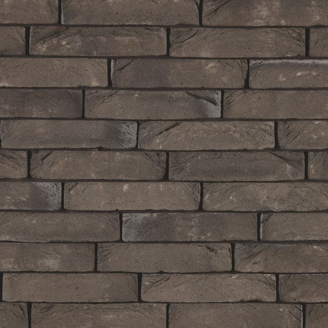 Pagus Carbon Zwart facing bricks in a soft wild bond with Iluzo application