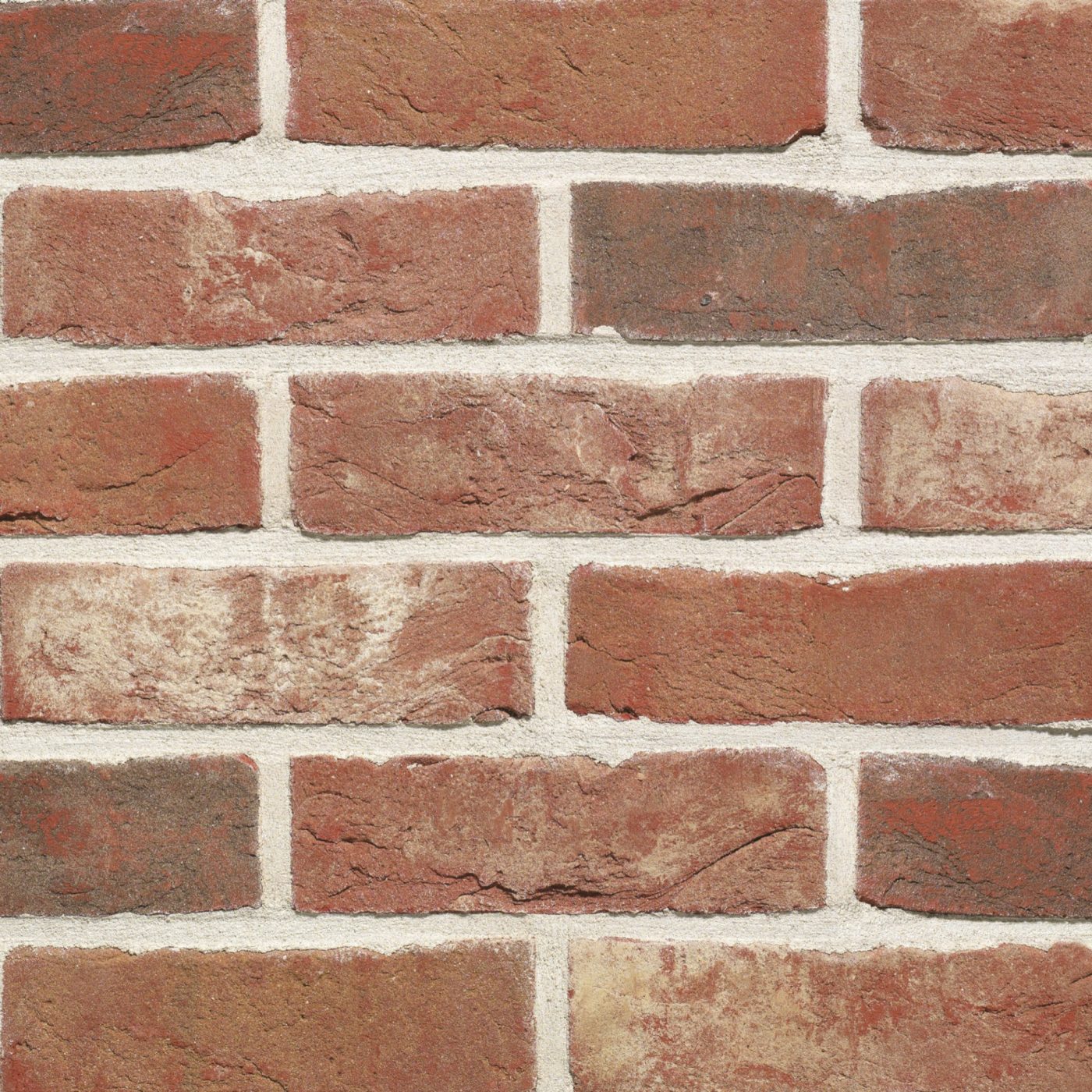 Packshot of a panel with Patrimonia Pastorale