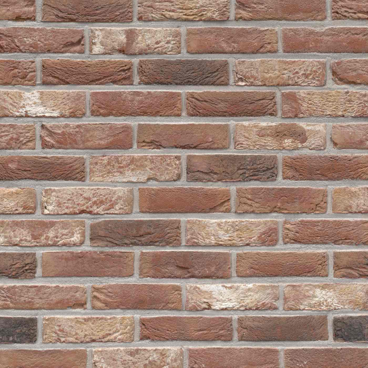 Packshot of a panel with Patrimonia Renaissance