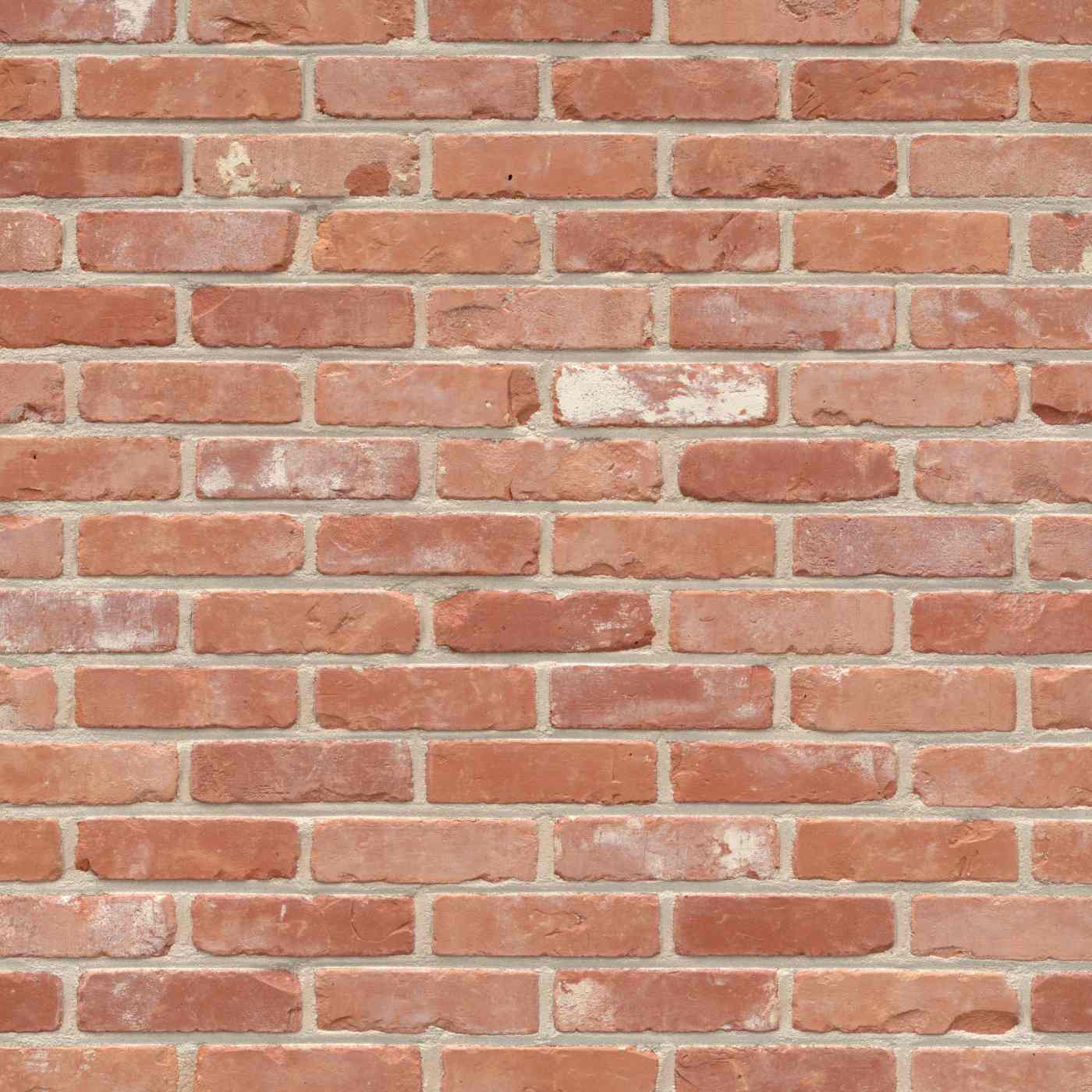 Packshot of a panel with Recup Tongerse RV