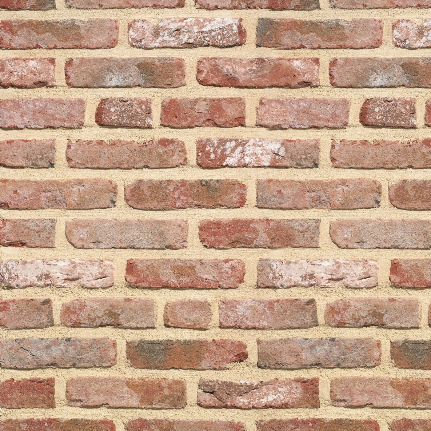 Packshot of a panel with Retro Boomse Klinkaert