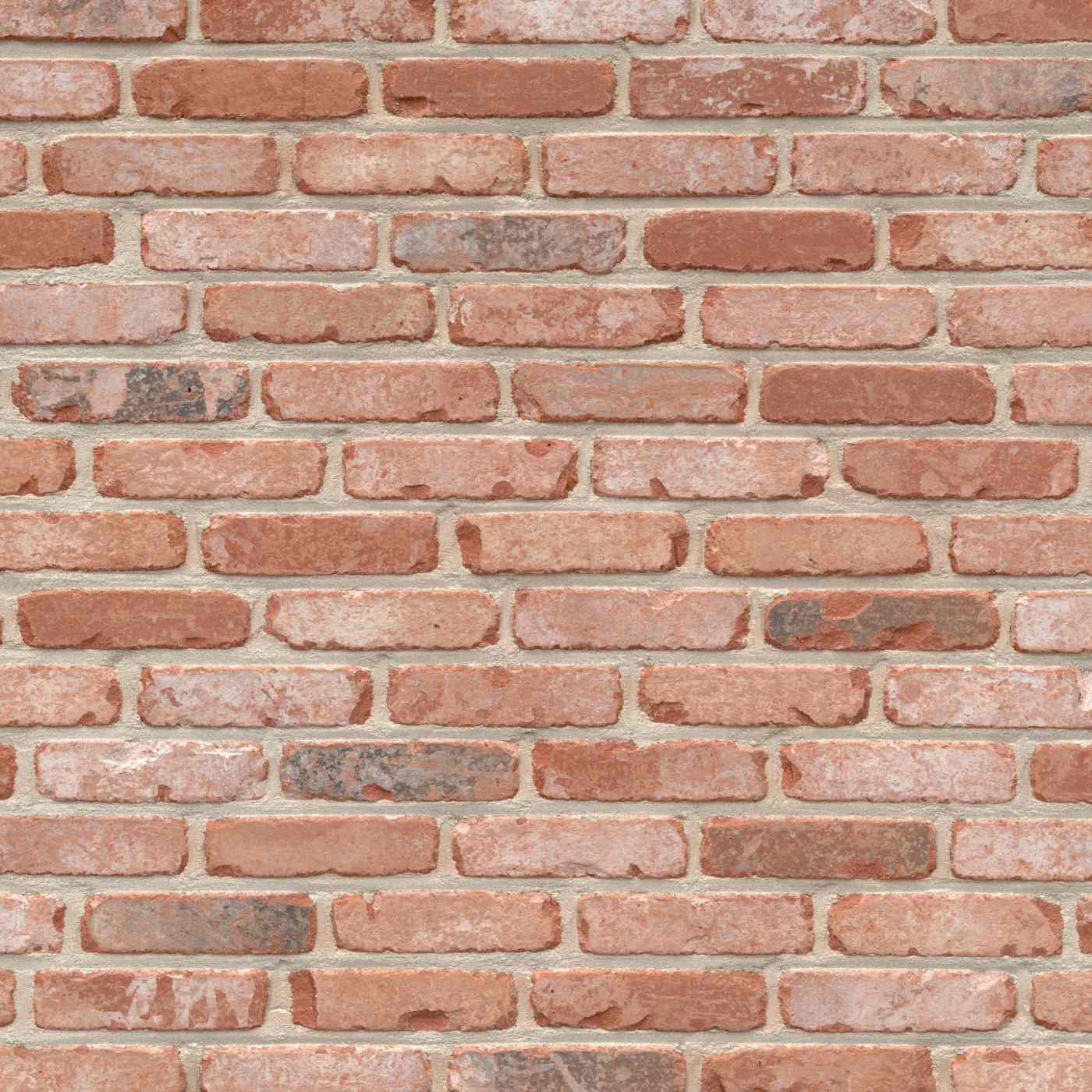 Packshot of a panel with Retro Pastorie