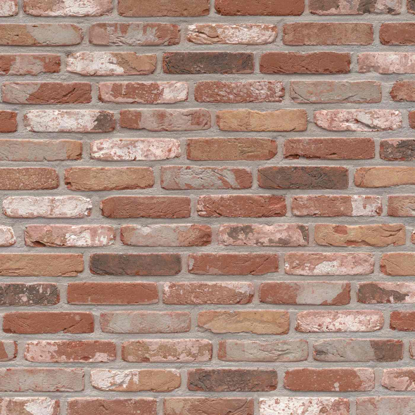 Terca Rustica Oud Kempisch