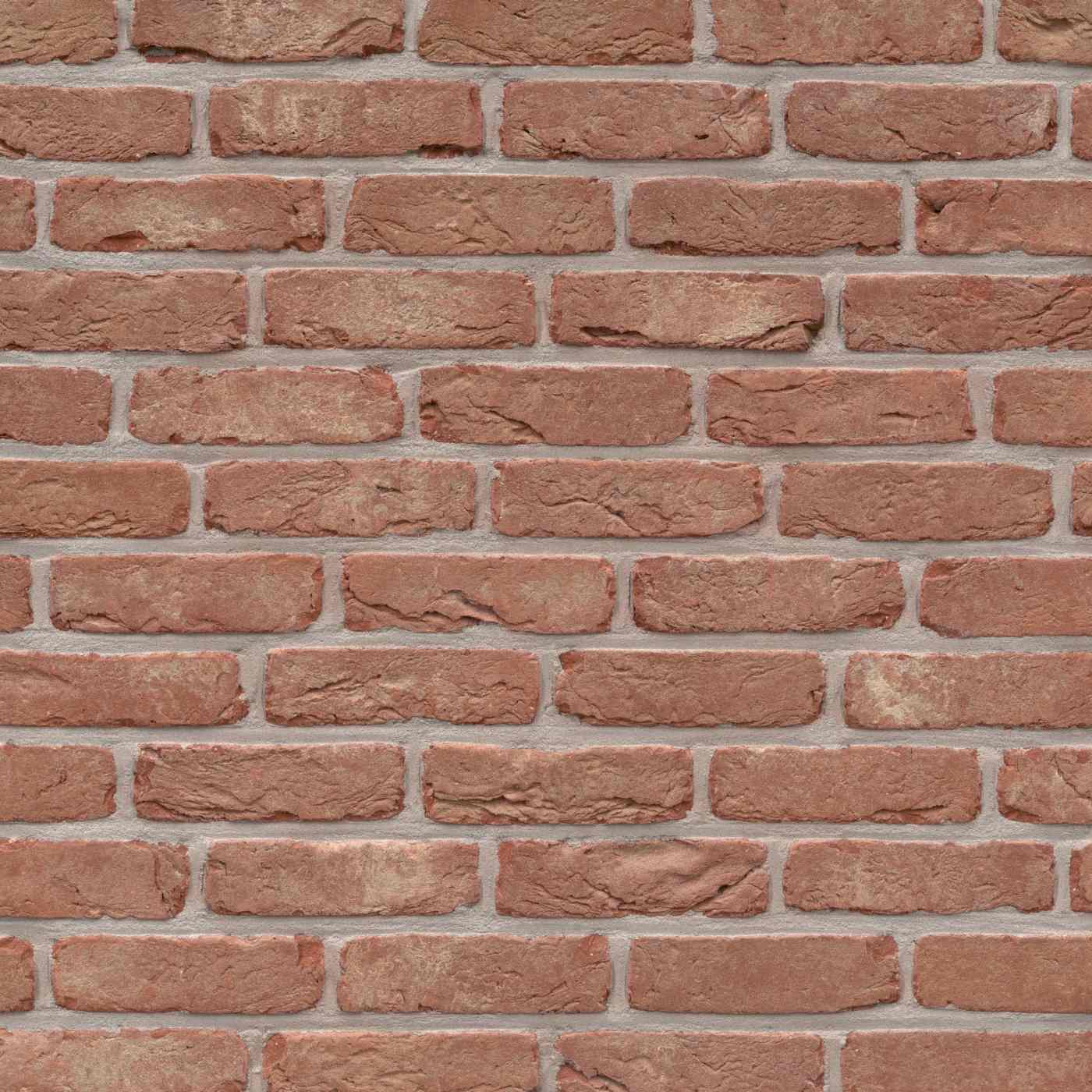 Exported from Metis Light Inspecto