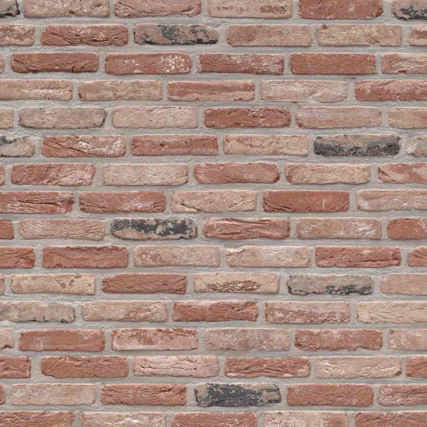 Exported from Metis Light Inspector