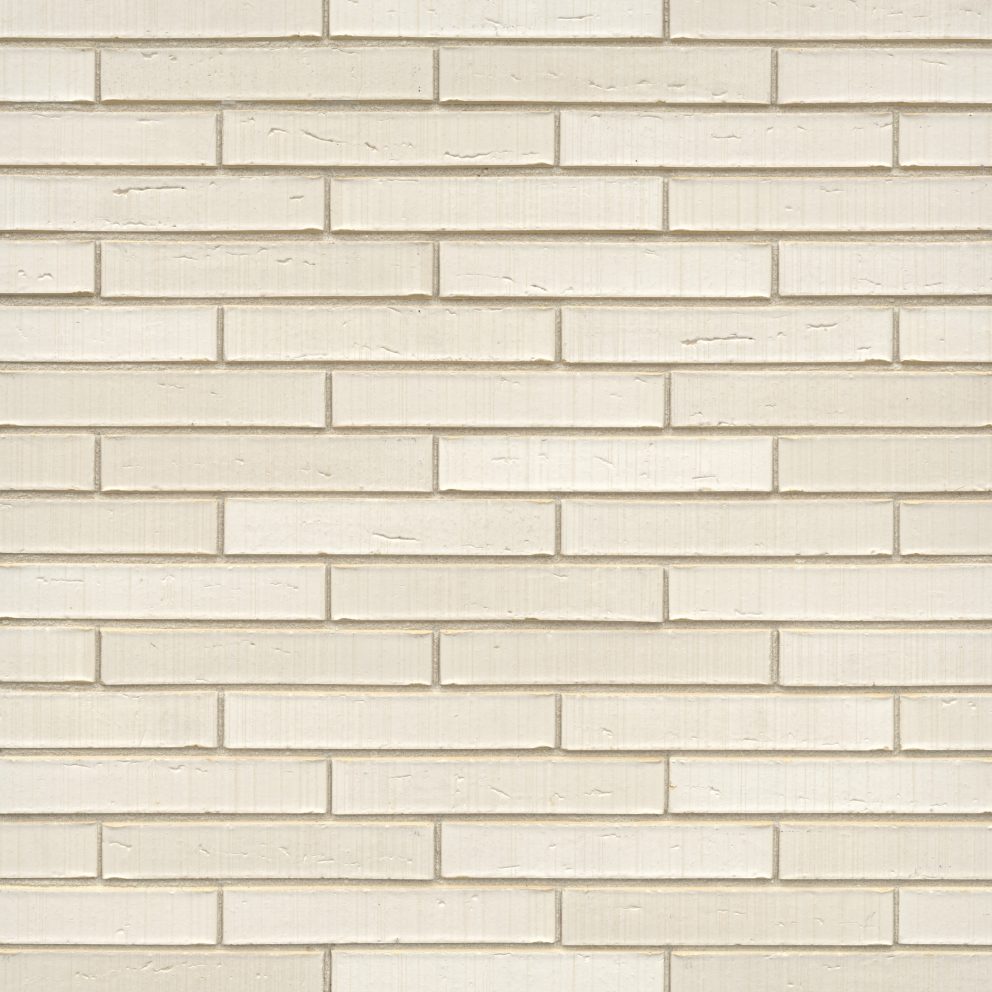 Brique de parement en terre cuite de couleur blanc nuancé ...