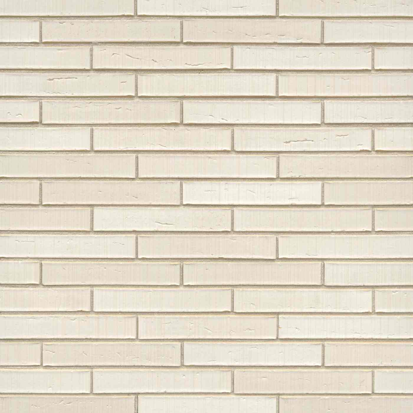 Elignia blanc Arctica