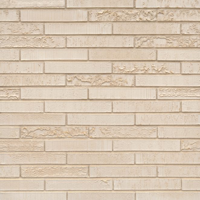 Wit Genuanceerde Terca Keramische Gevelsteen Elignia Nordica Wit