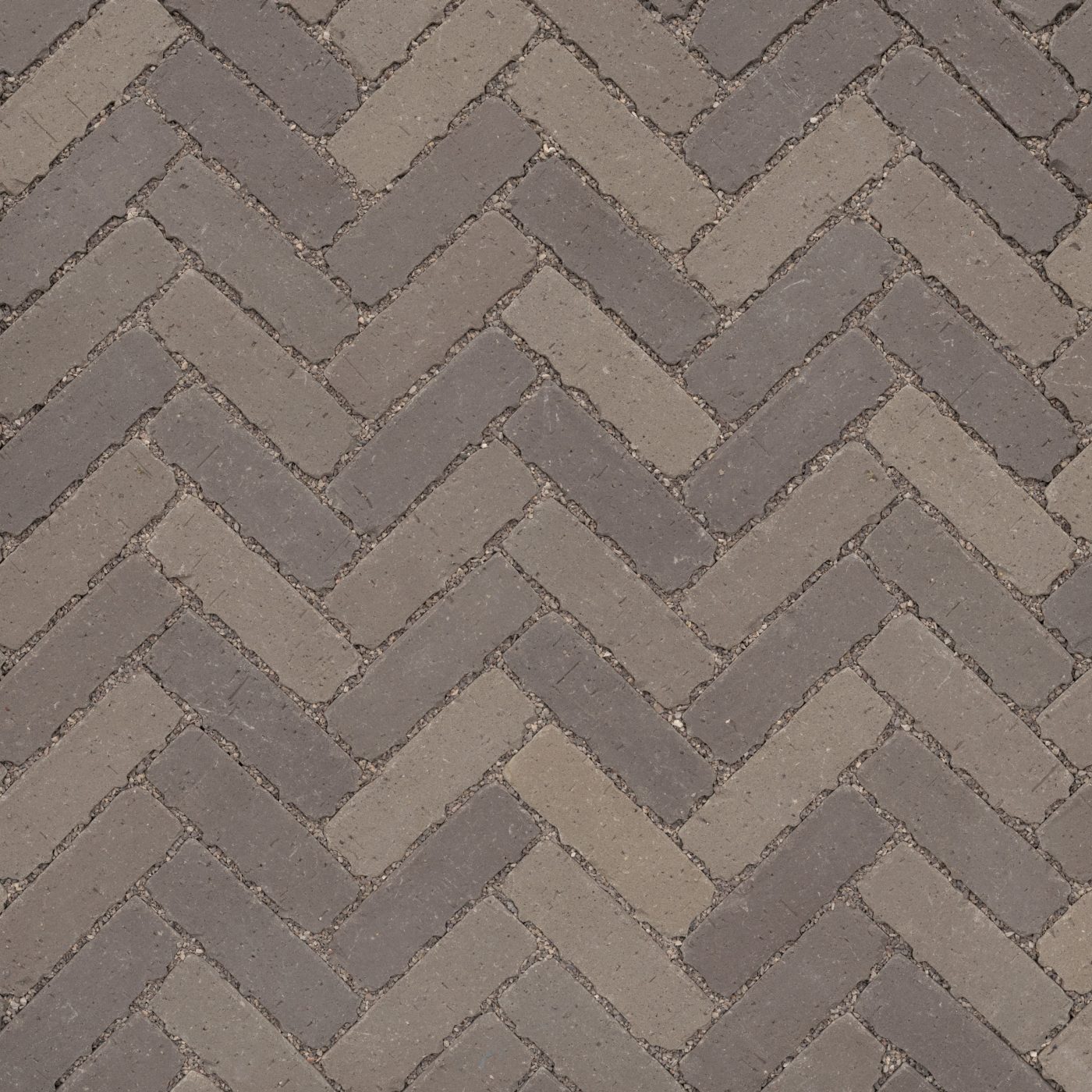 Passaqua Retro Lotis