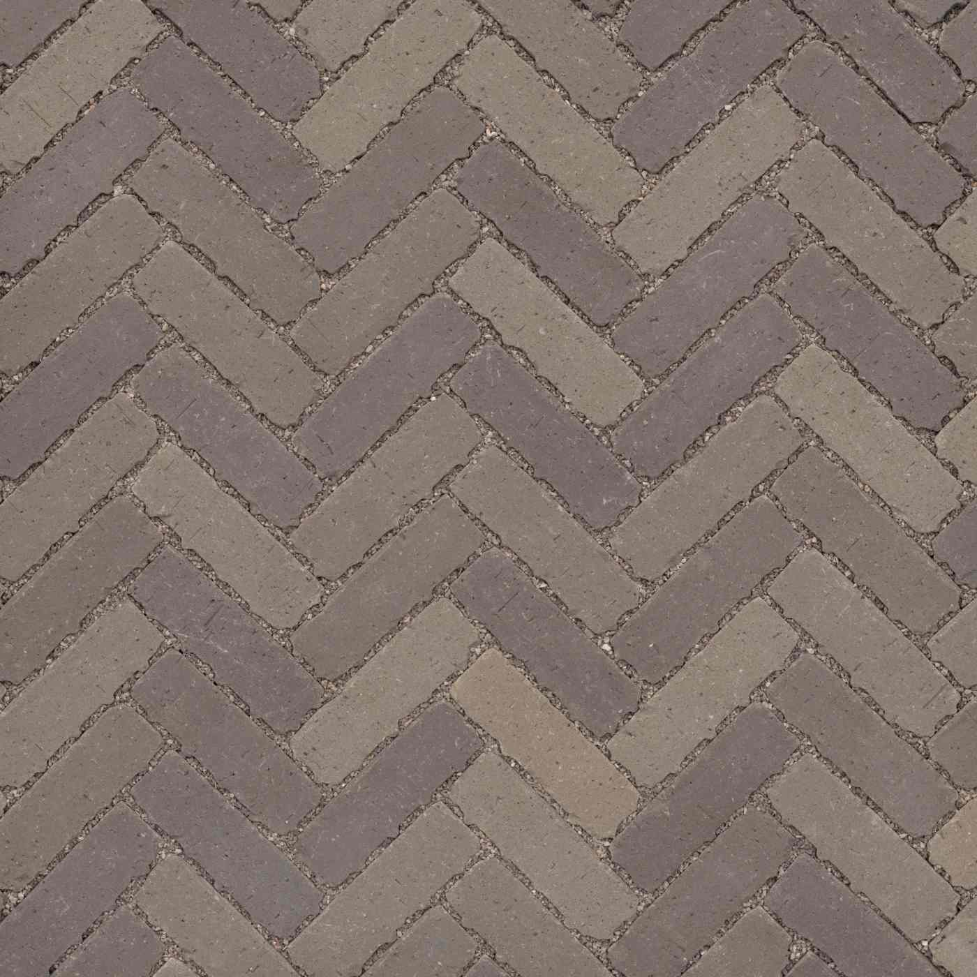 Passaqua Retro Lotis