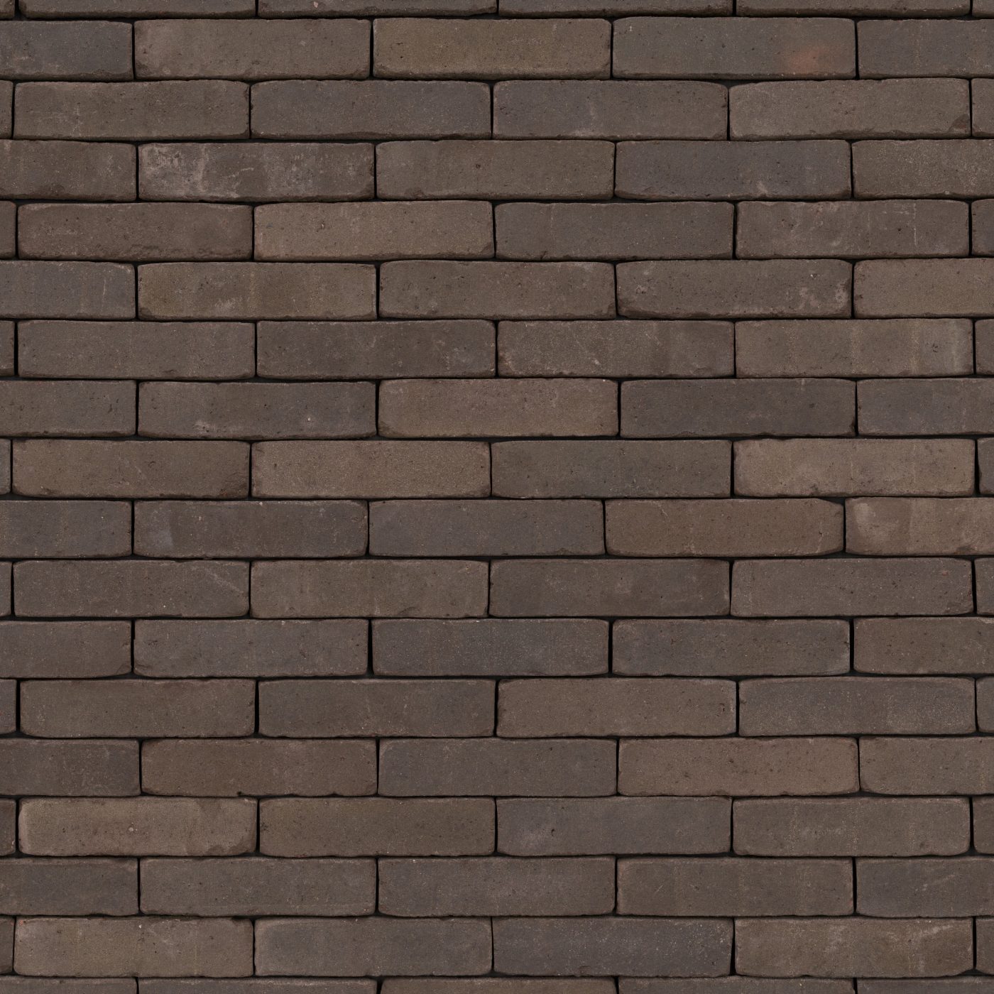 Authentica Retro Incana