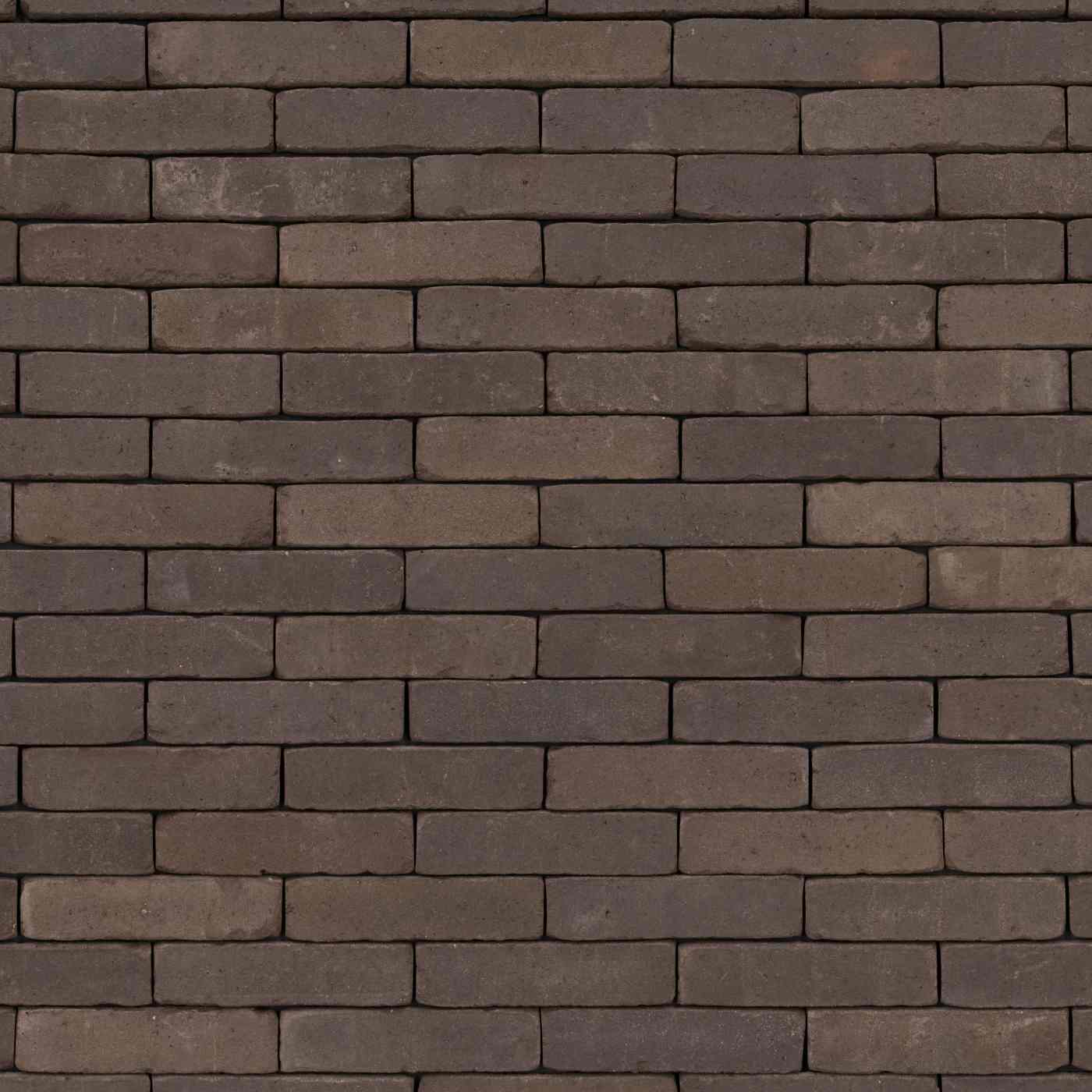 Authentica Retro Incana