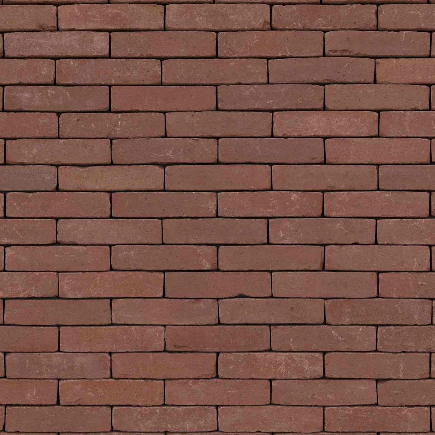 Authentica Retro Rood