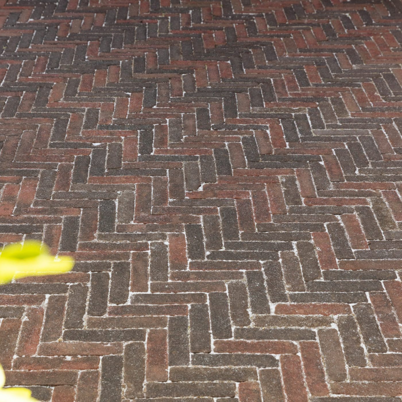 Reference photo infrastructure landscaping in Dendermonde