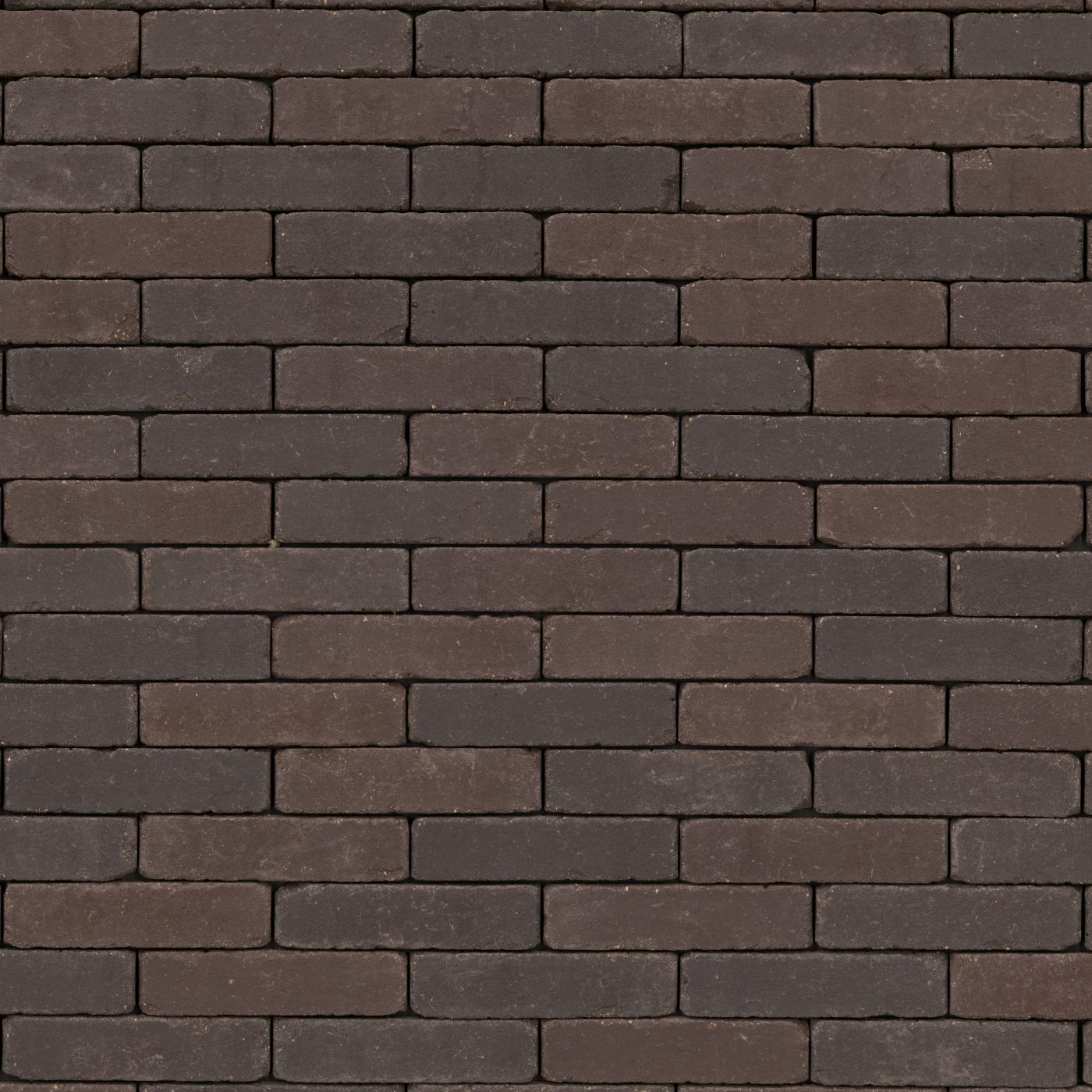 Trendline Retro Atlas