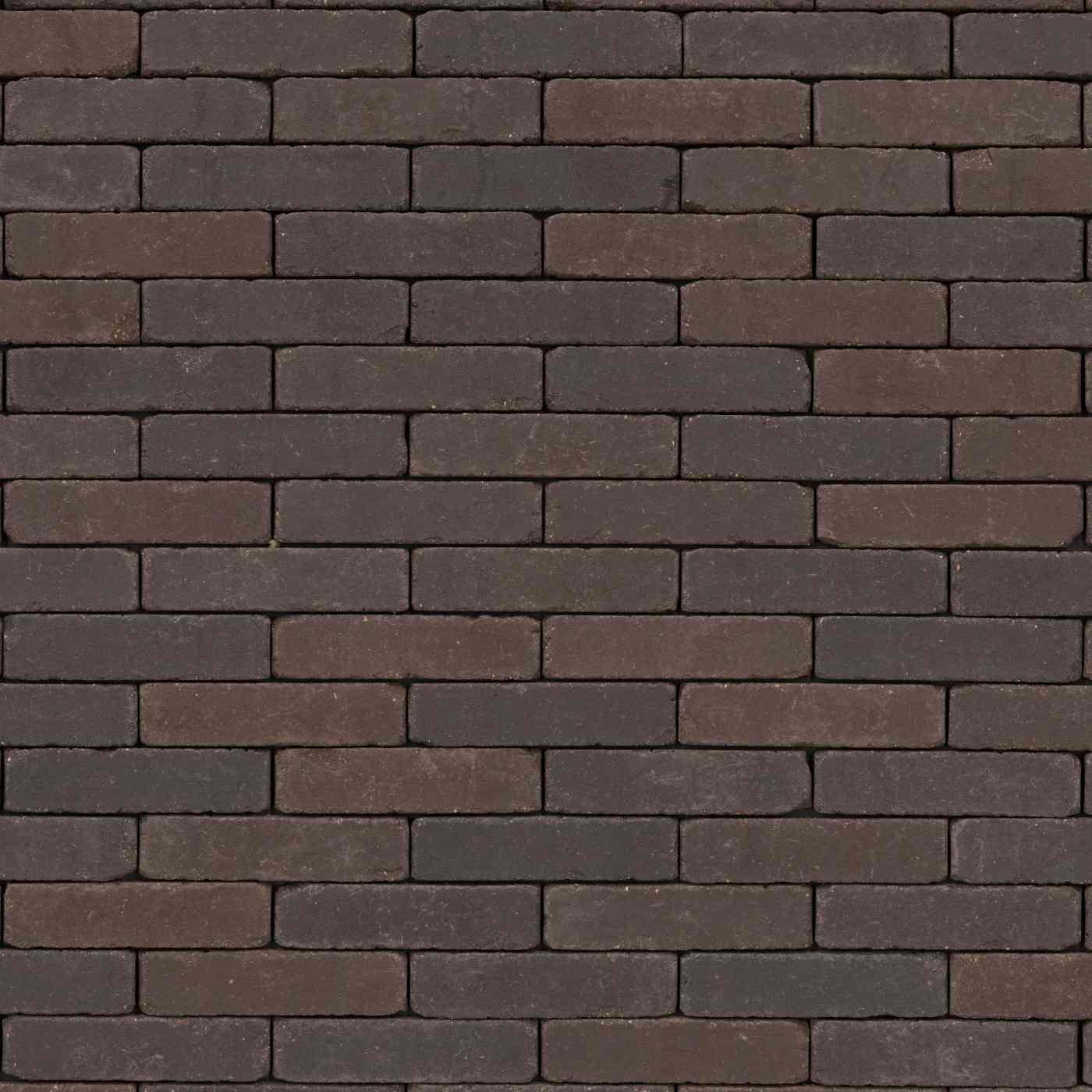 Trendline Retro Atlas