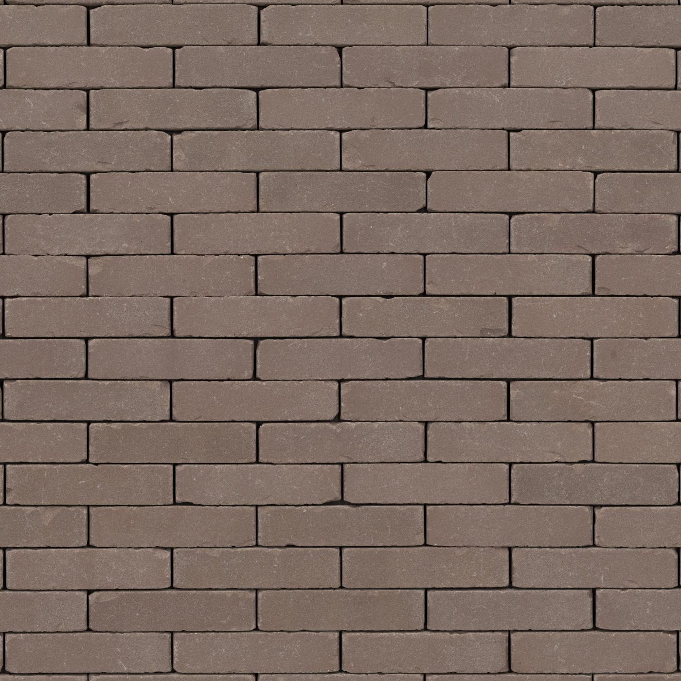 Trendline Retro Triton