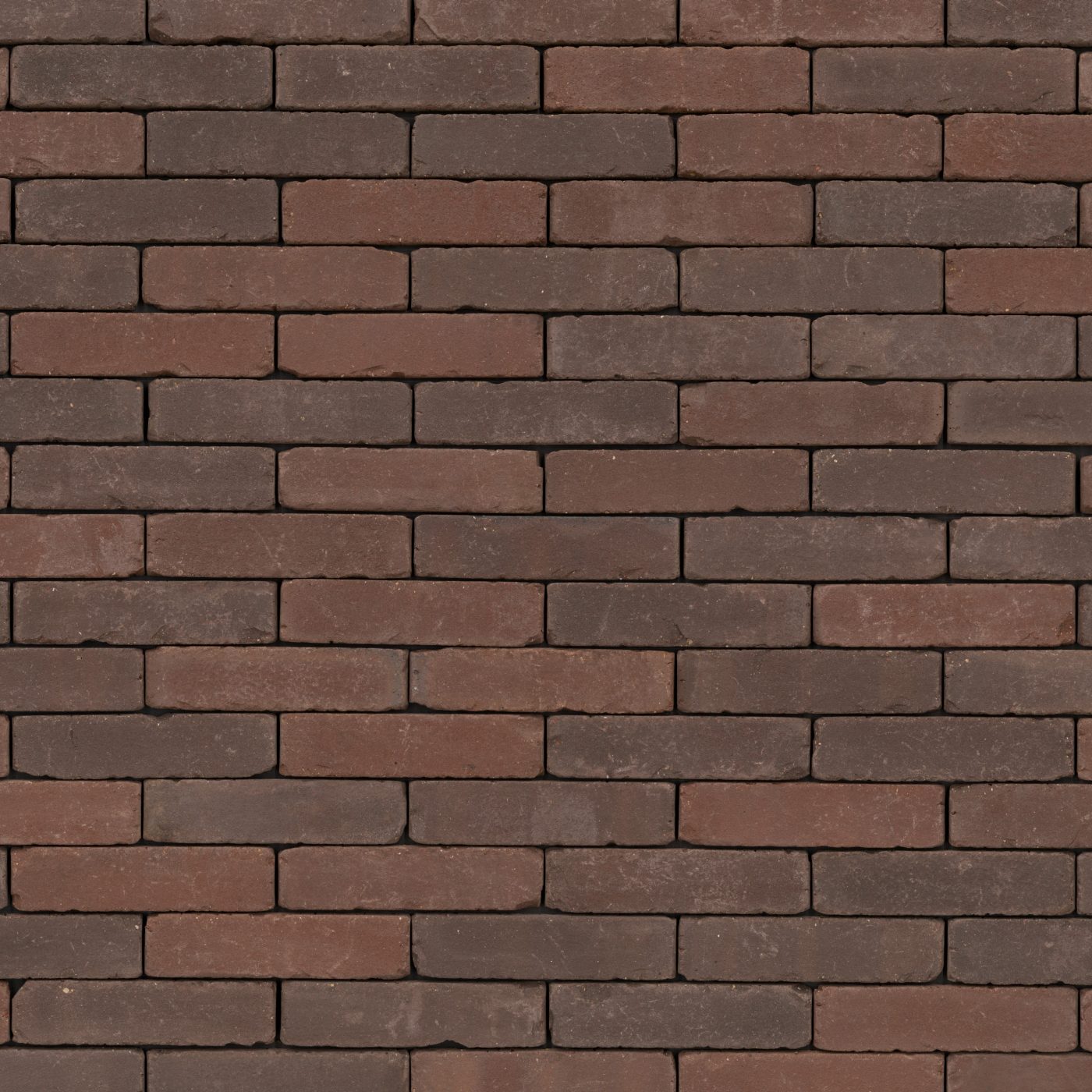 Trendline Retro Carpo