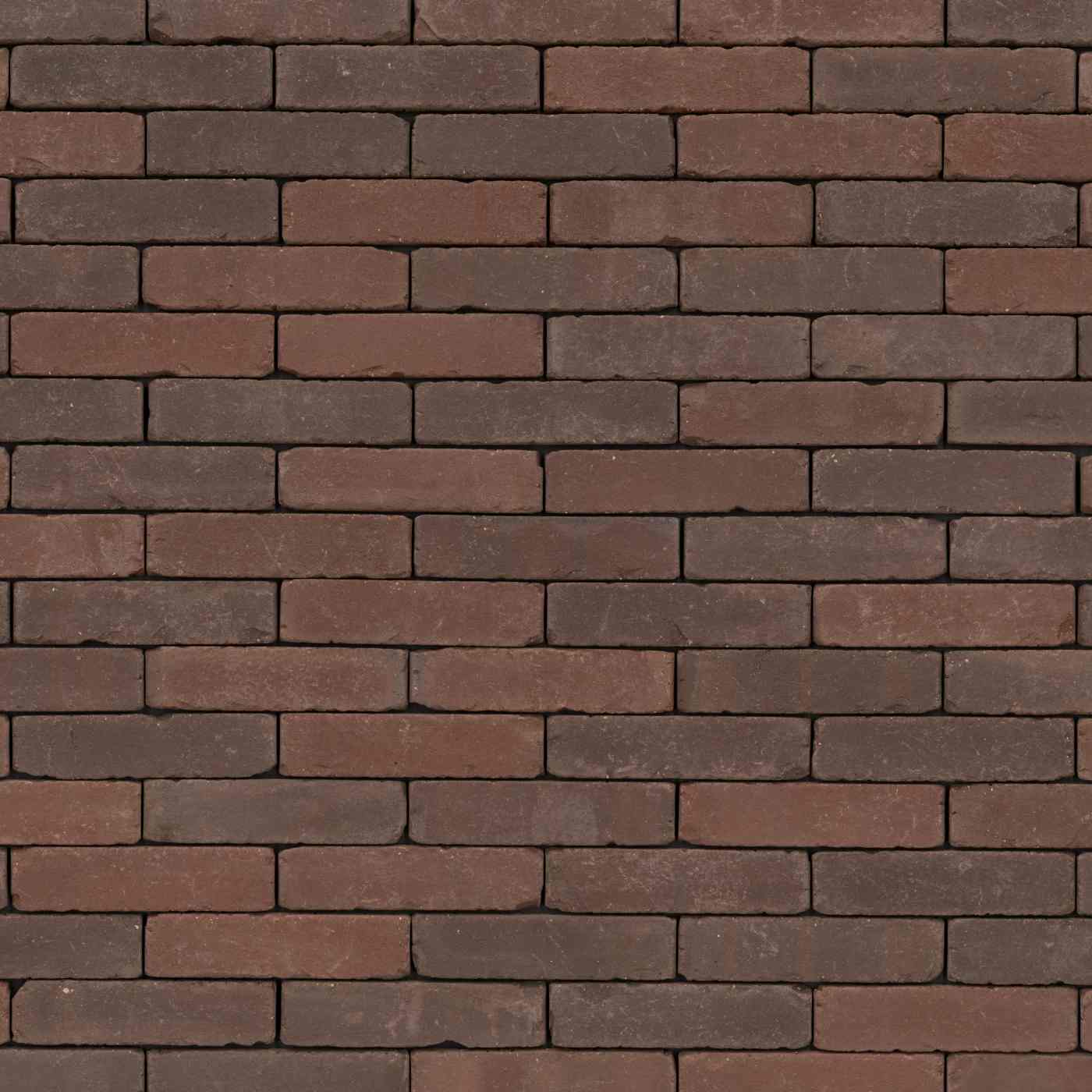 Trendline Retro Carpo