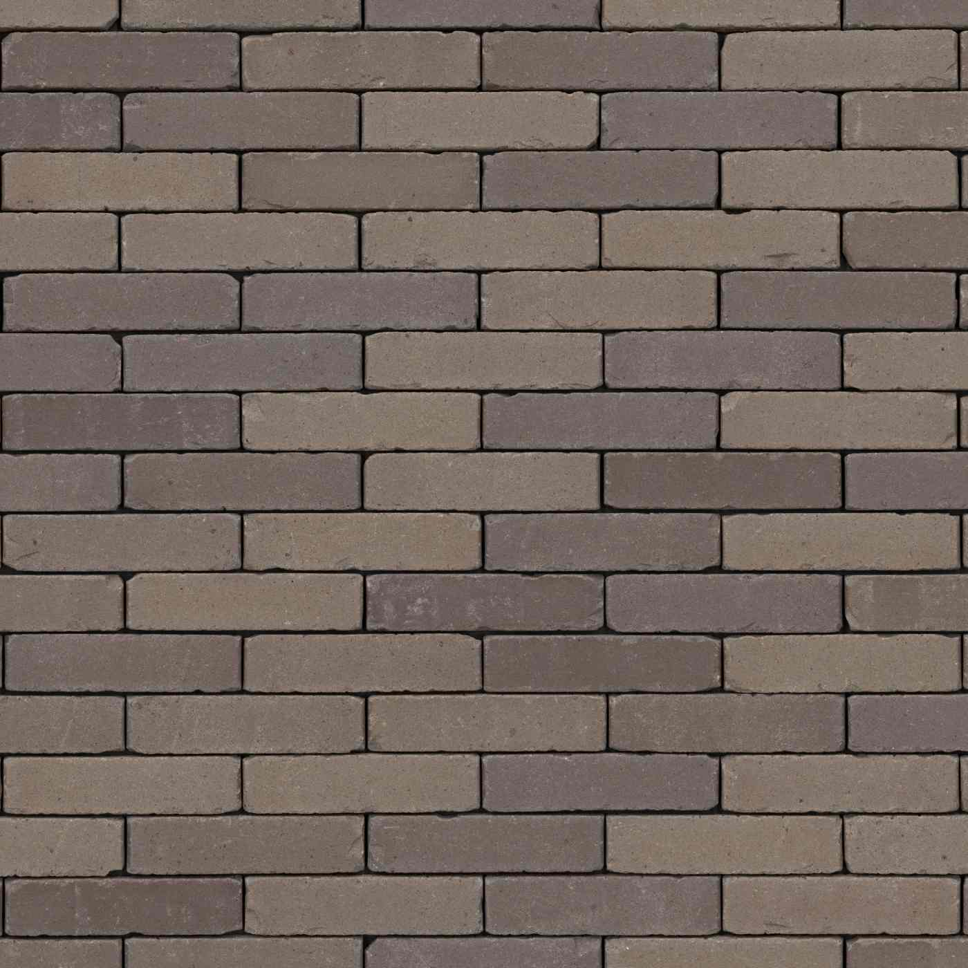 Trendline Retro Lotis