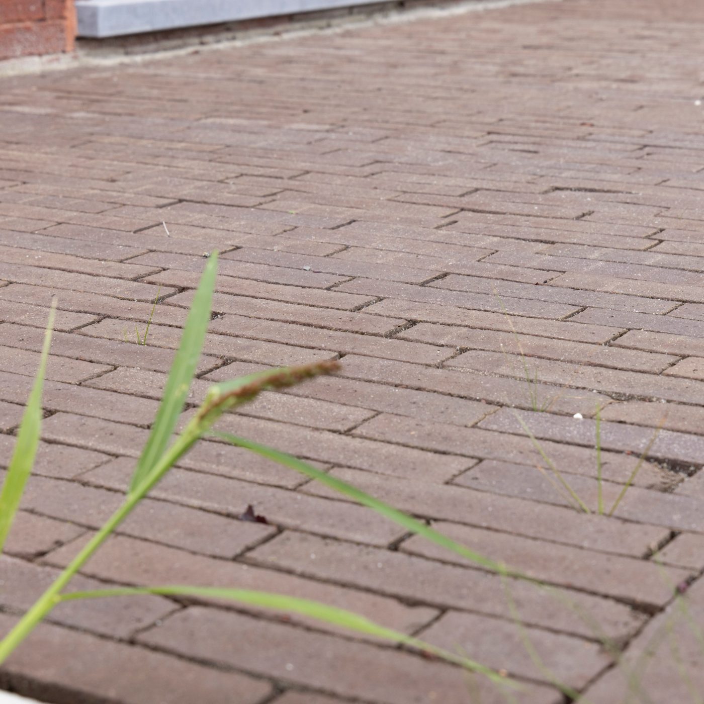 Reference photo new construction single family in Onze-Lieve-Vrouw-Waver