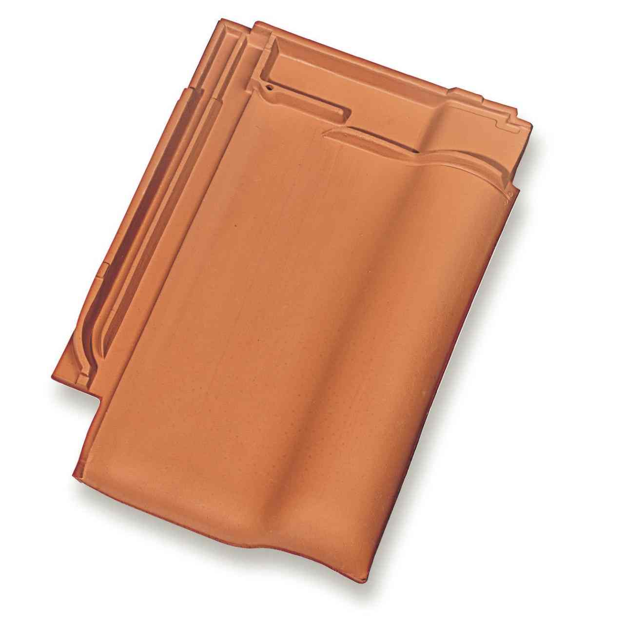 Single product shot of a Alegra 10 TE Natuurrood roof tile