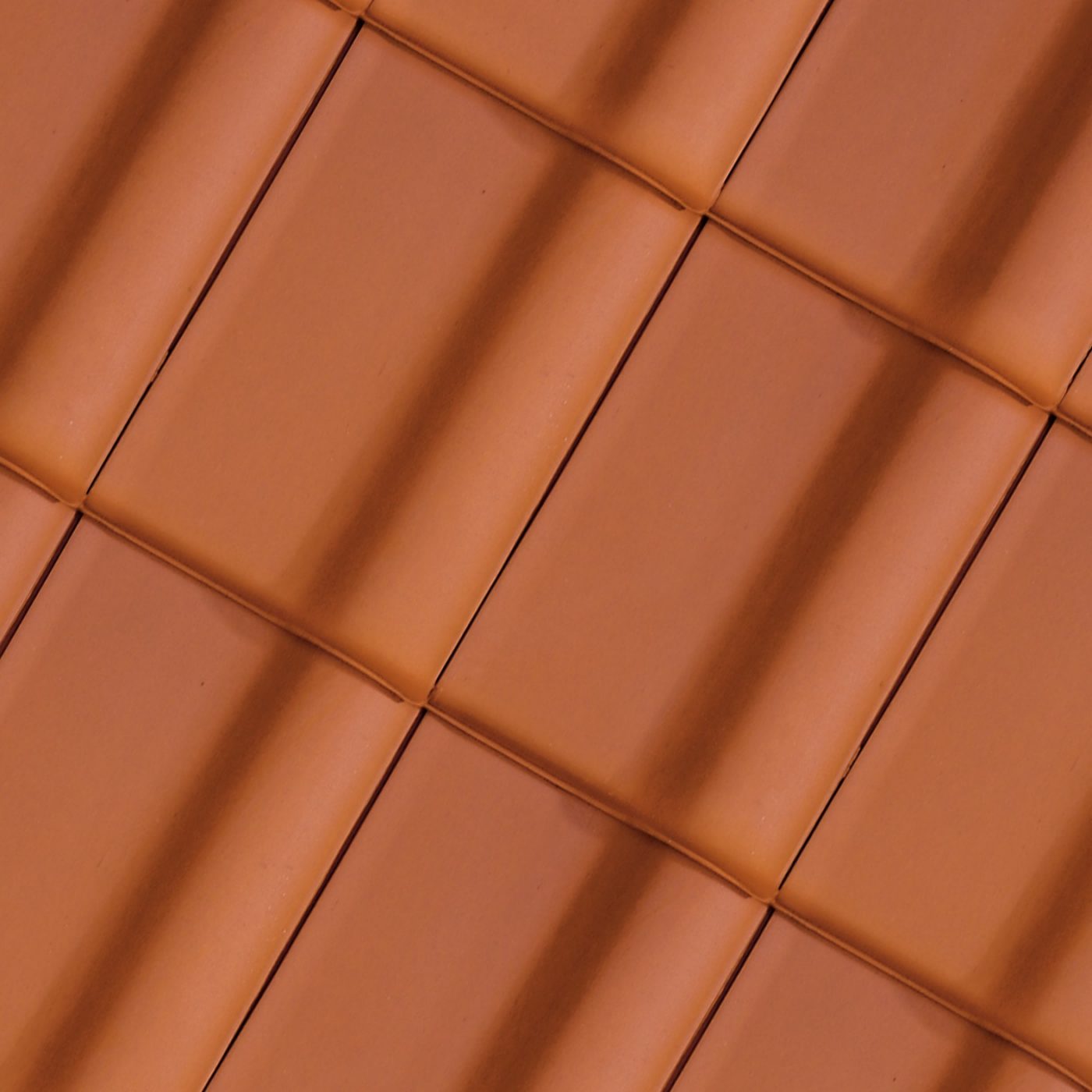 Alegra 10 TE Rouge naturel+