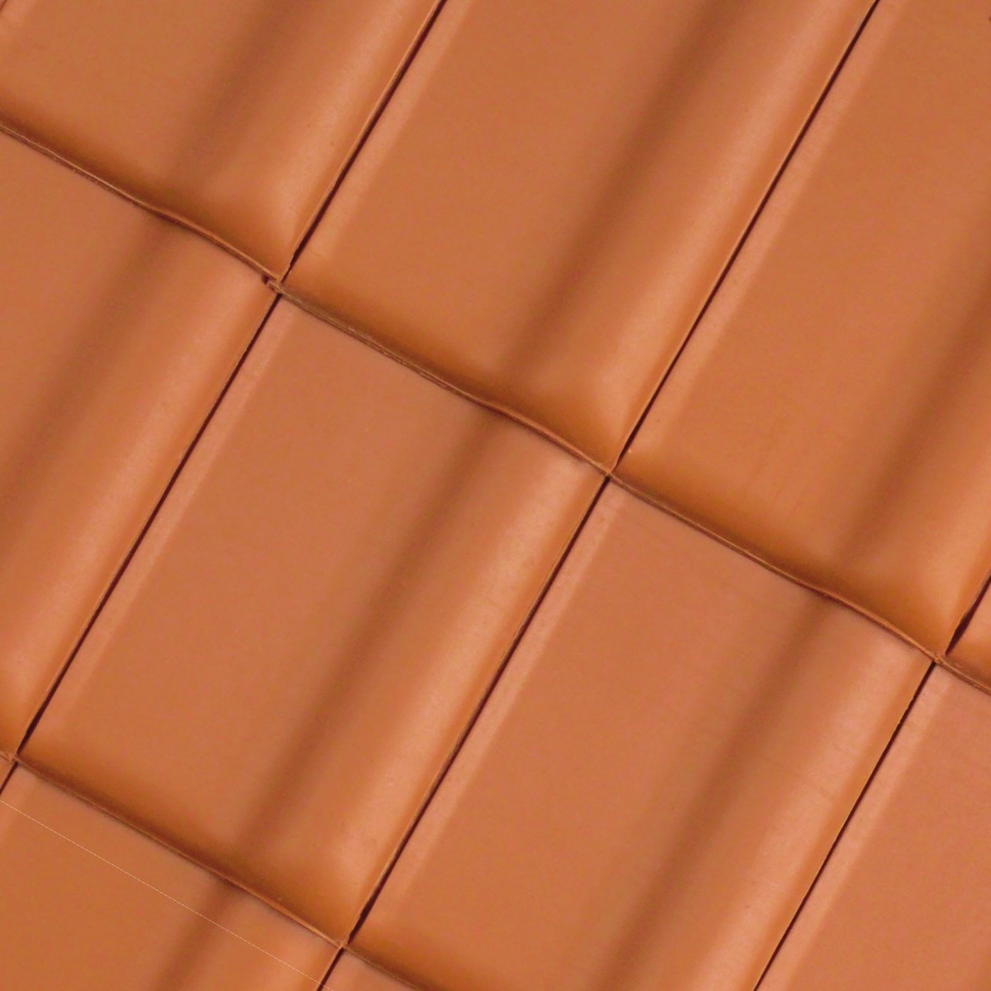 Alegra 10 SE Rouge naturel