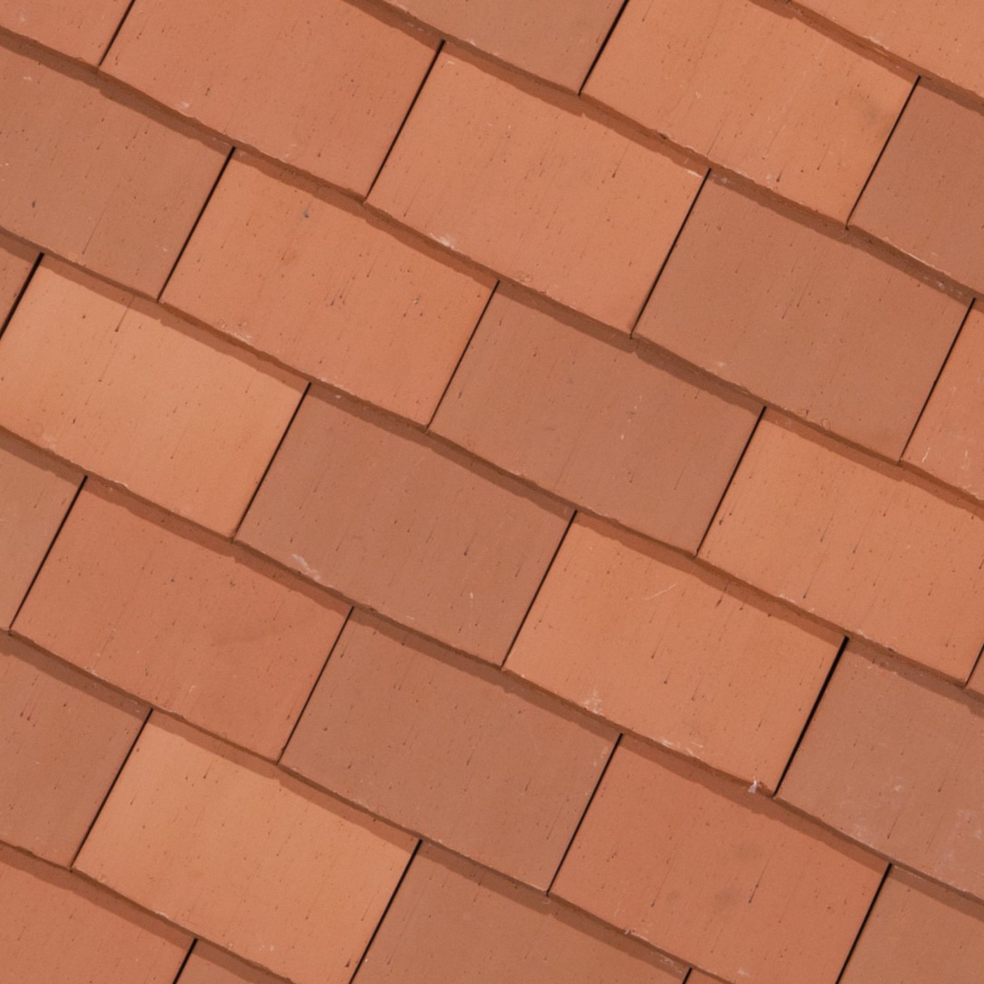 Tegelpan Aleonard Pontigny Rouge naturel