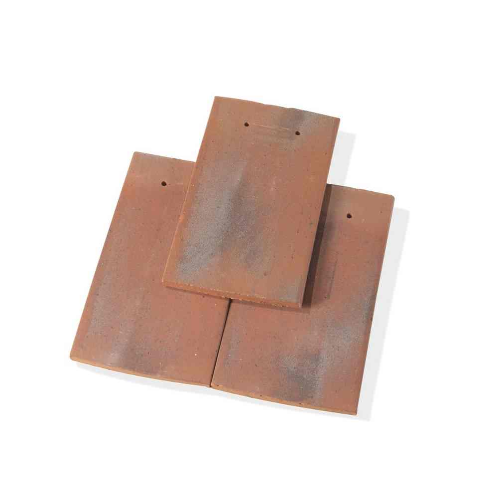 Single product shot of a Tegelpan Aleonard Pontigny Vieilli Naturel roof tile