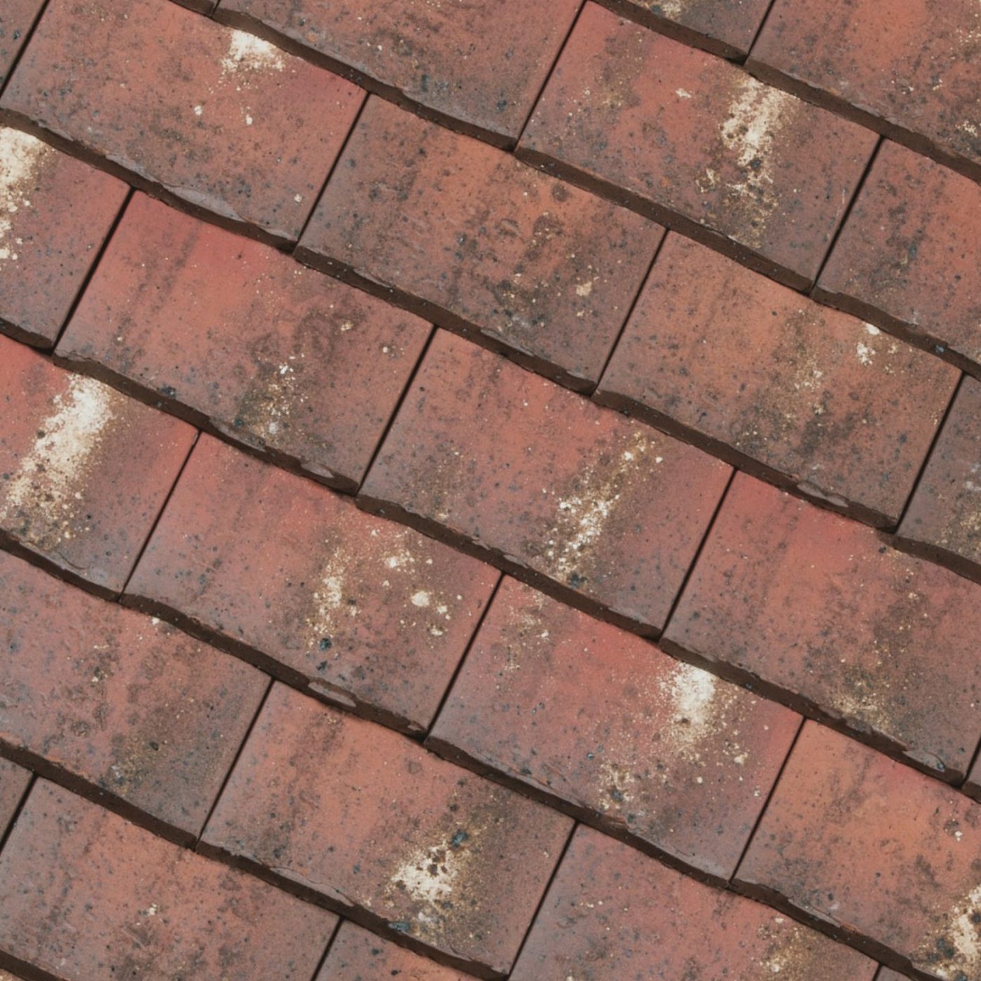 Tegelpan Aleonard Esprit Patrimoine Vert de Lichen