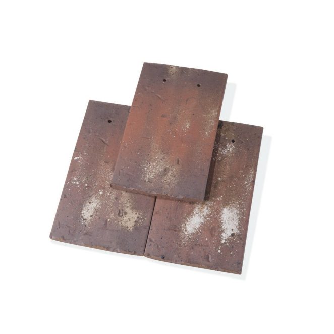 Single product shot of a Tegelpan Aleonard Esprit Patrimoine Vert De Lichen roof tile