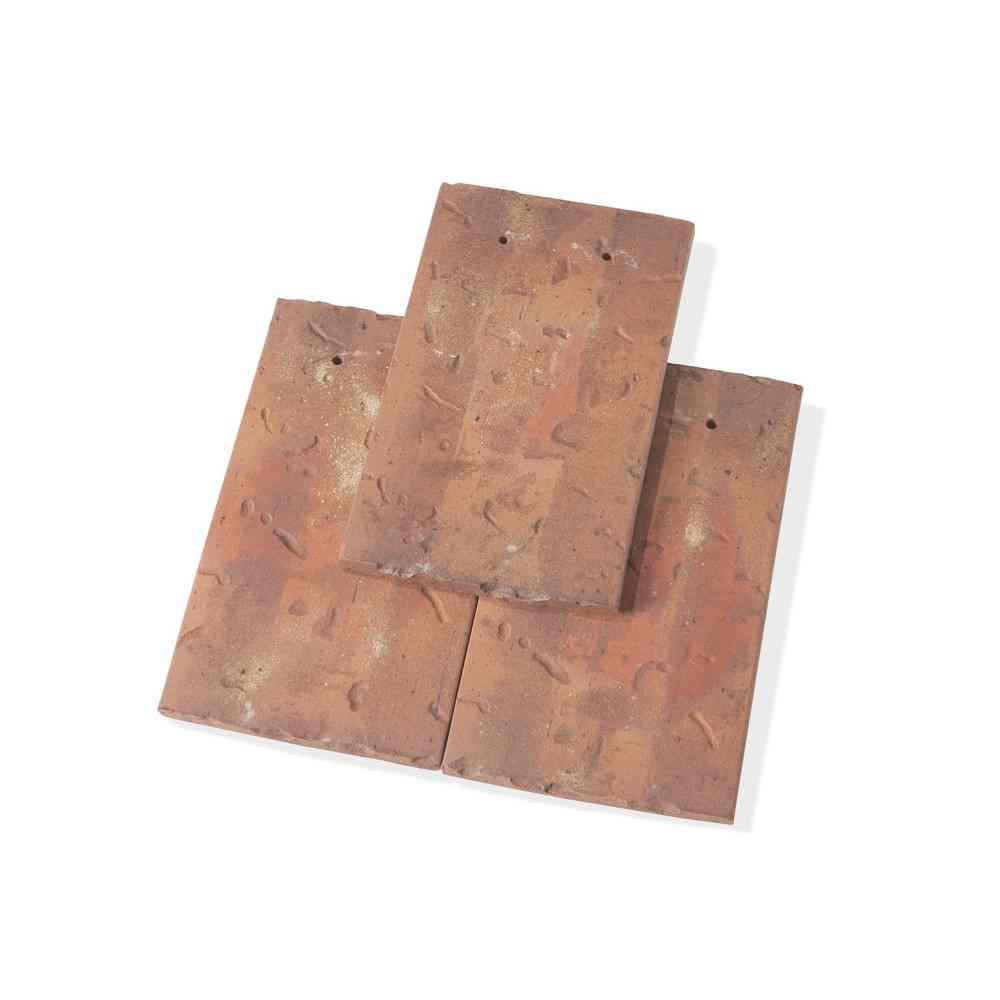Single product shot of a Tegelpan Aleonard Esprit Patrimoine Ocre Lichen roof tile