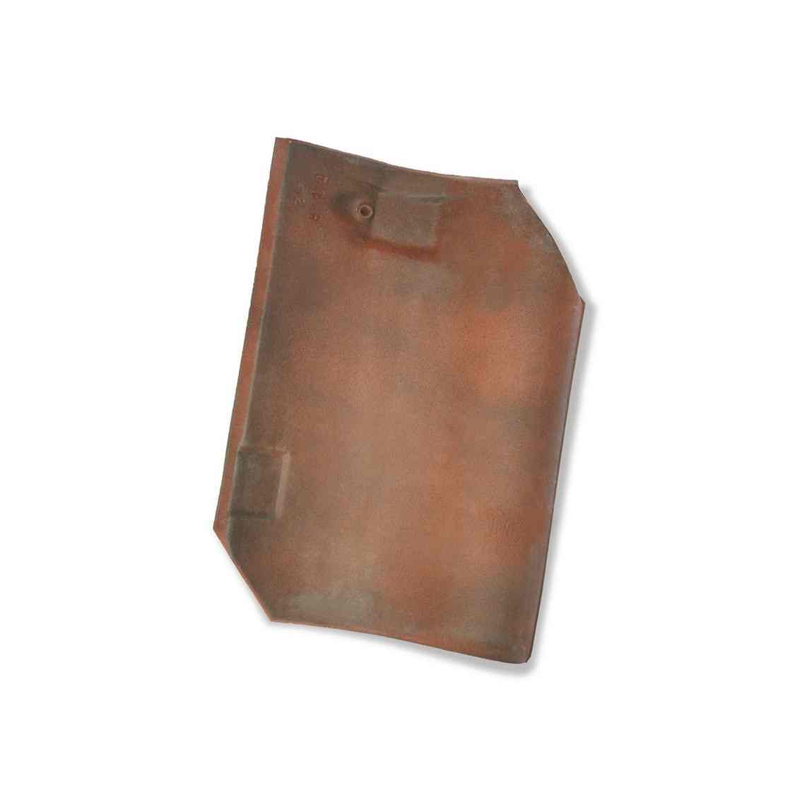 Single product shot of a Oude Pottelbergse Pan 451 Rustiek roof tile